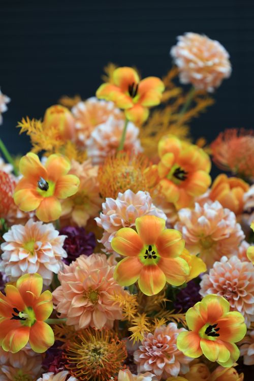 Free A stunning close-up of a vibrant flower bouquet featuring orange and peach blooms. Stock Photo