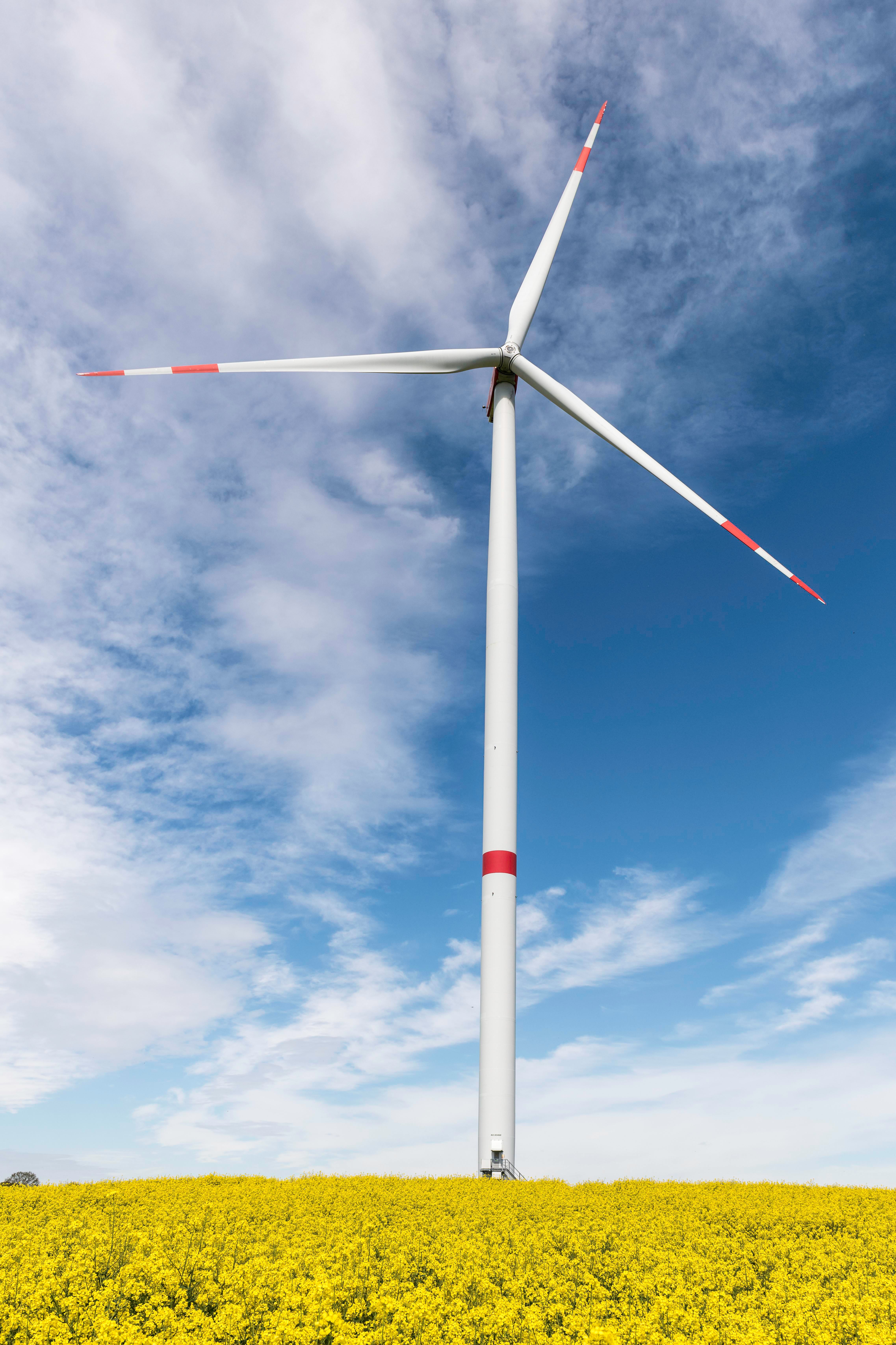 A wind turbine stands amidst a bright yellow rape field on a sunny day in Germany.