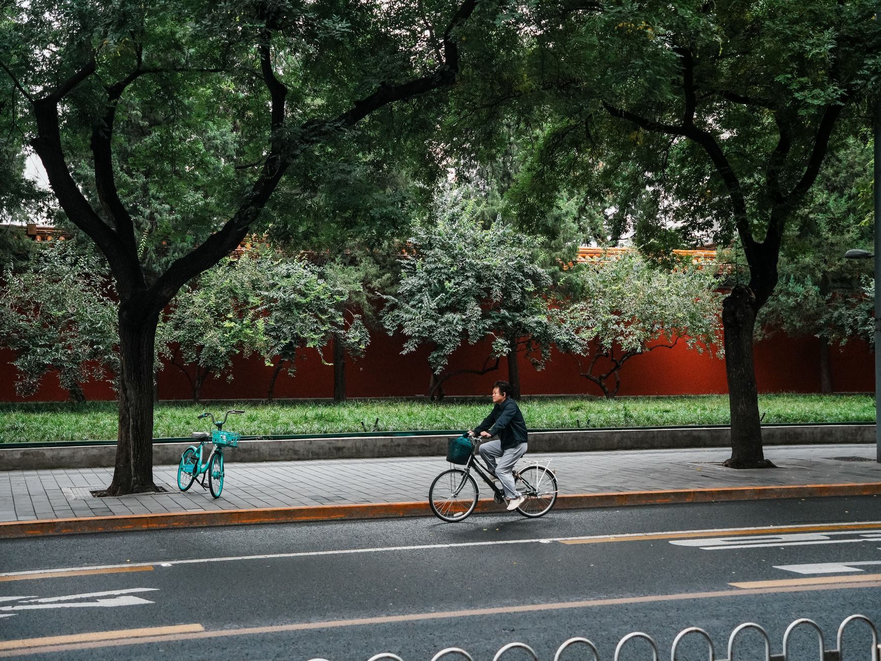 electric assist bicycle city commute