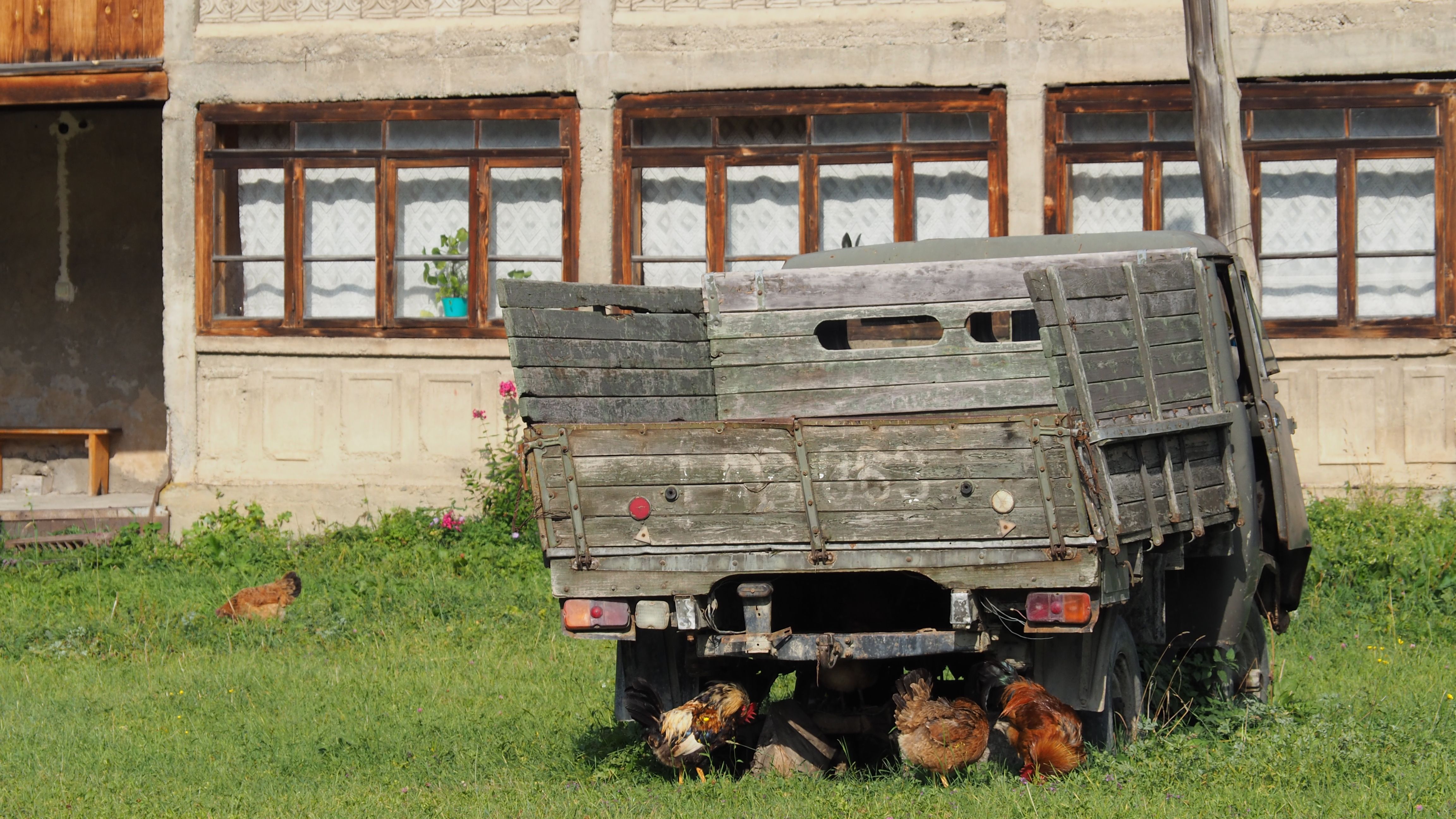 An aged delivery truck surrounded by chickens in a rural setting in Mestia, Georgia.