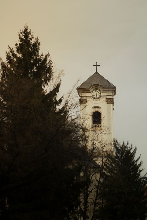 Free A classic church tower rises among tall pine trees at dusk, creating a serene scene. Stock Photo