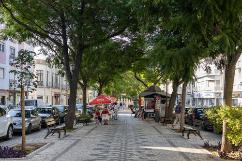 Free A picturesque street in Loulé, Portugal, featuring shaded cafes under lush trees. Stock Photo