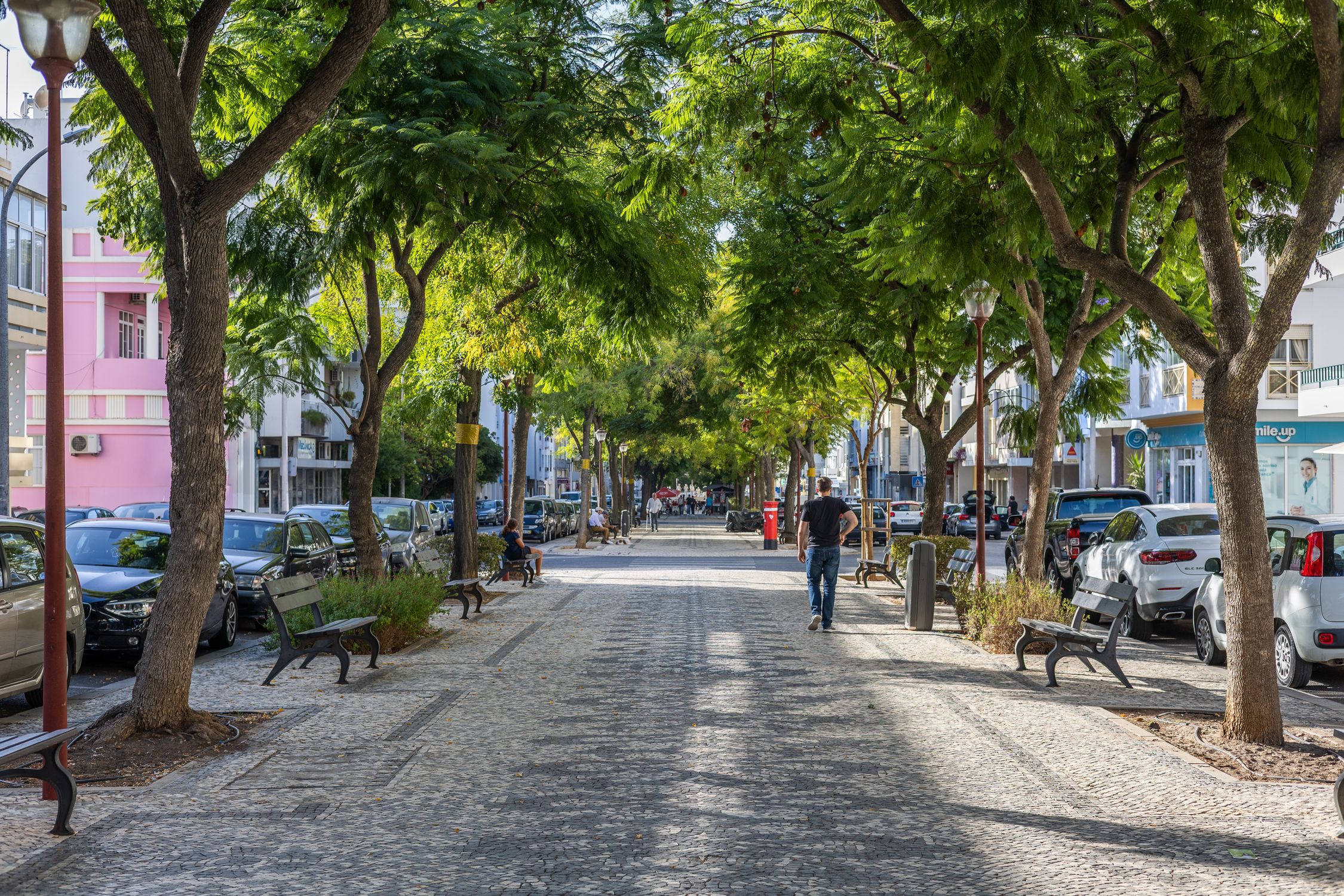 Scenic tree-lined street in Loule, Portugal, offering a picturesque outdoor setting.