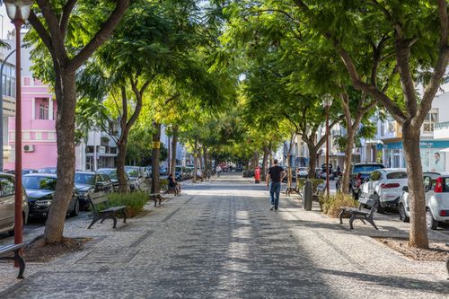 Free Scenic tree-lined street in Loulé, Portugal, offering a picturesque outdoor setting. Stock Photo