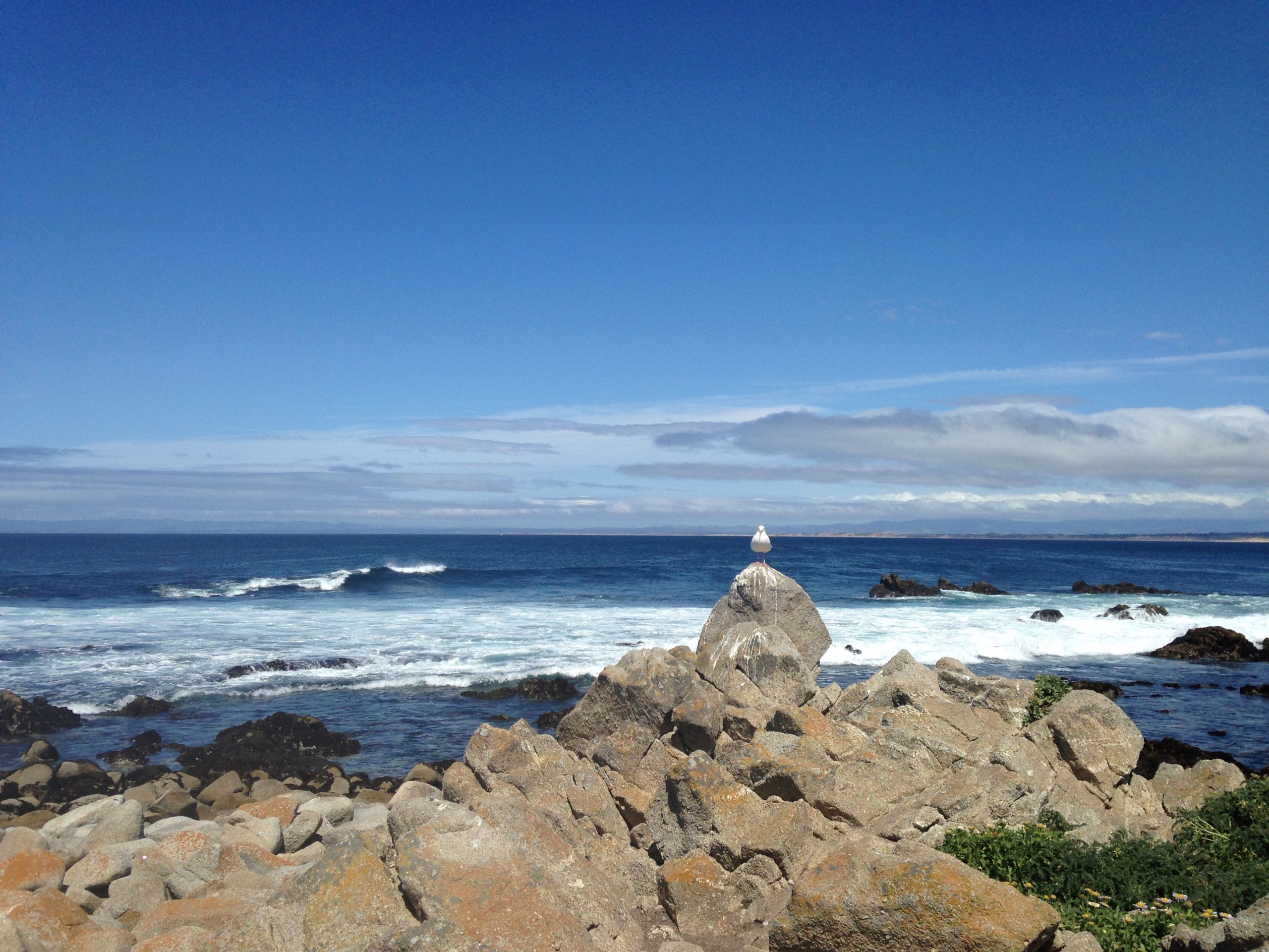 Pacific Grove — Food, Pacific Grove