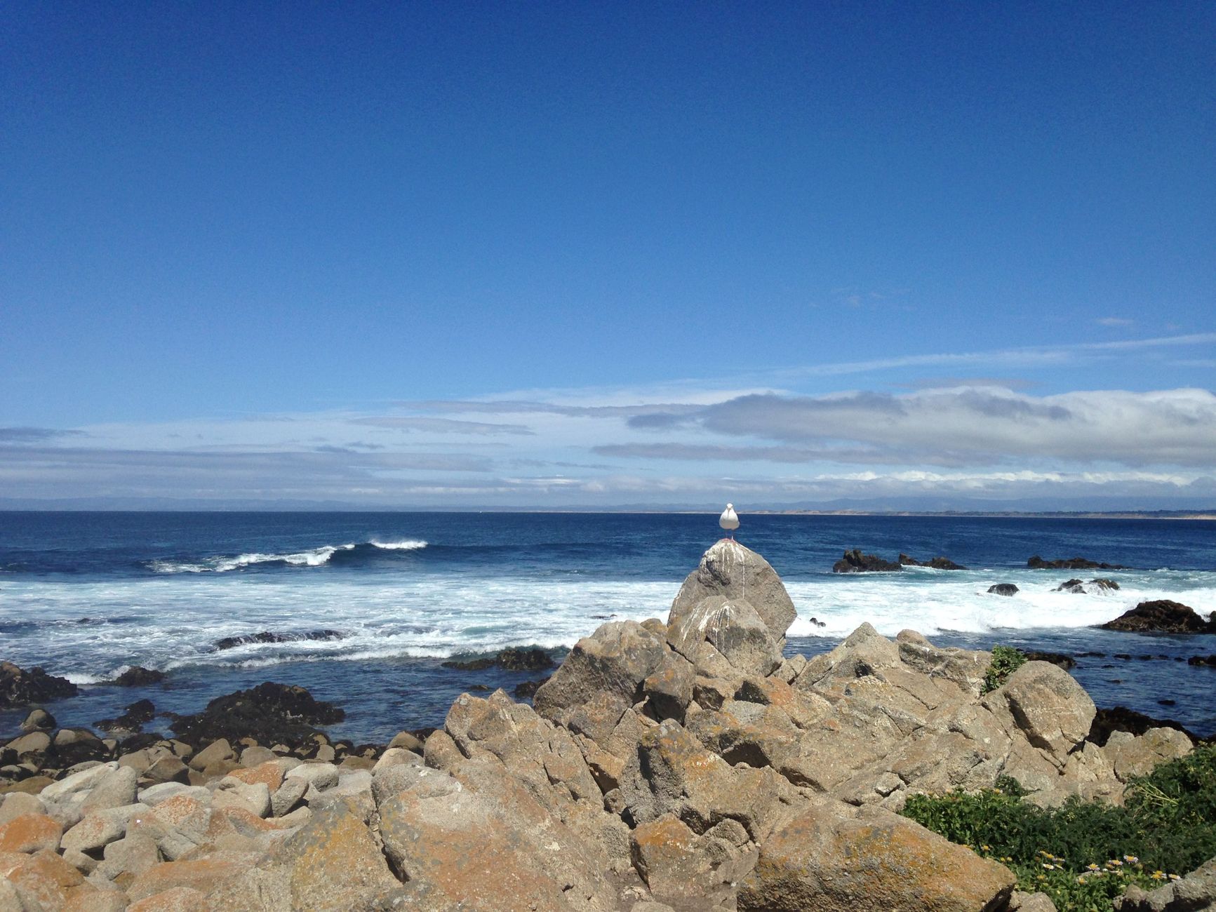 Pacific Grove — Food, Pacific Grove
