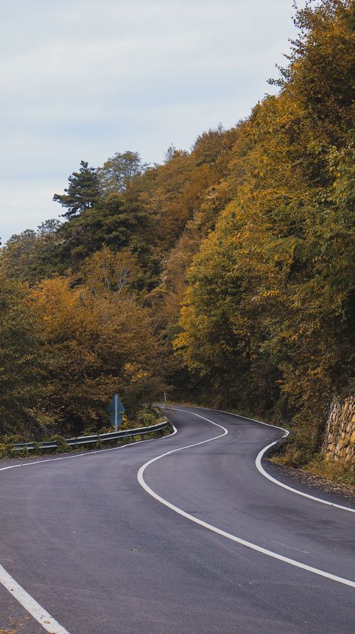 Free Curving road in a vibrant autumn forest with colorful foliage. Stock Photo