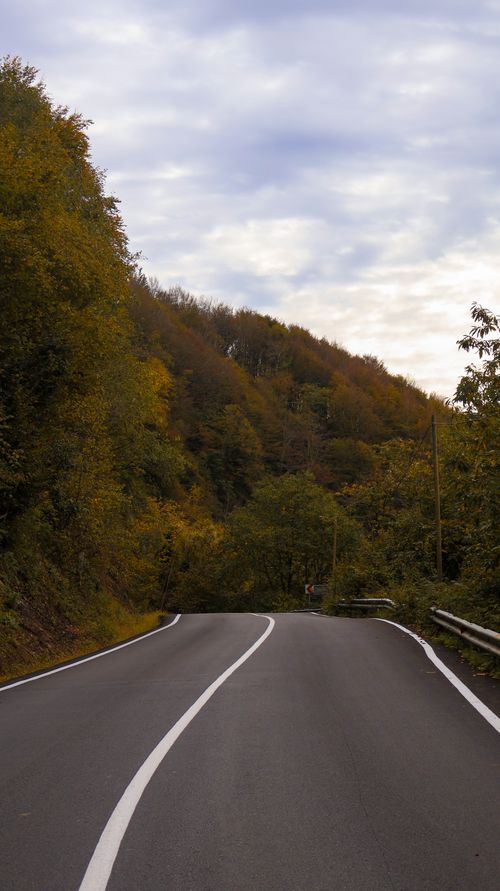 Free Winding road amidst colorful autumn forest on a cloudy day. Stock Photo