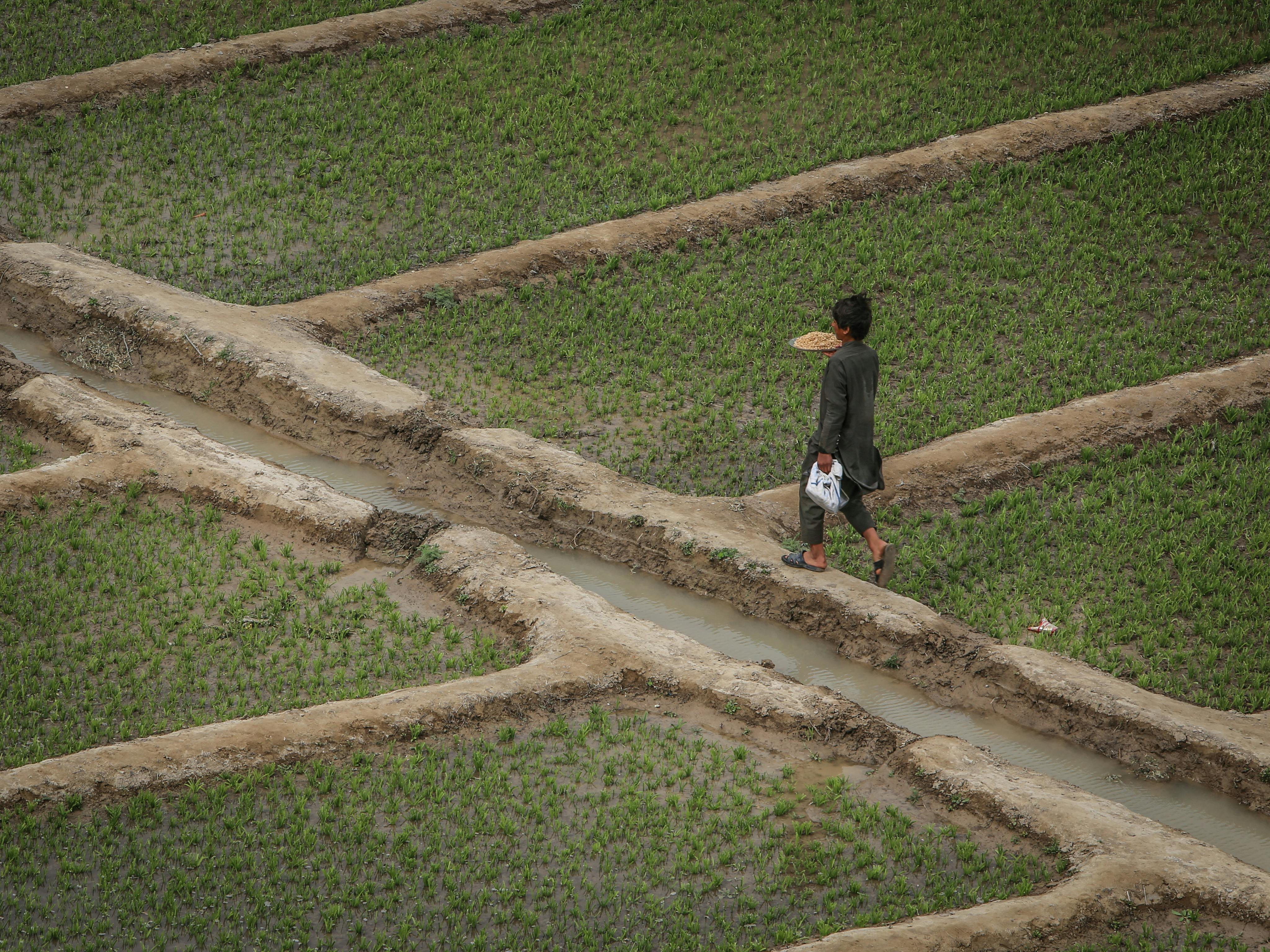 竹北「好米好生活」創意行銷推動國產米新風潮