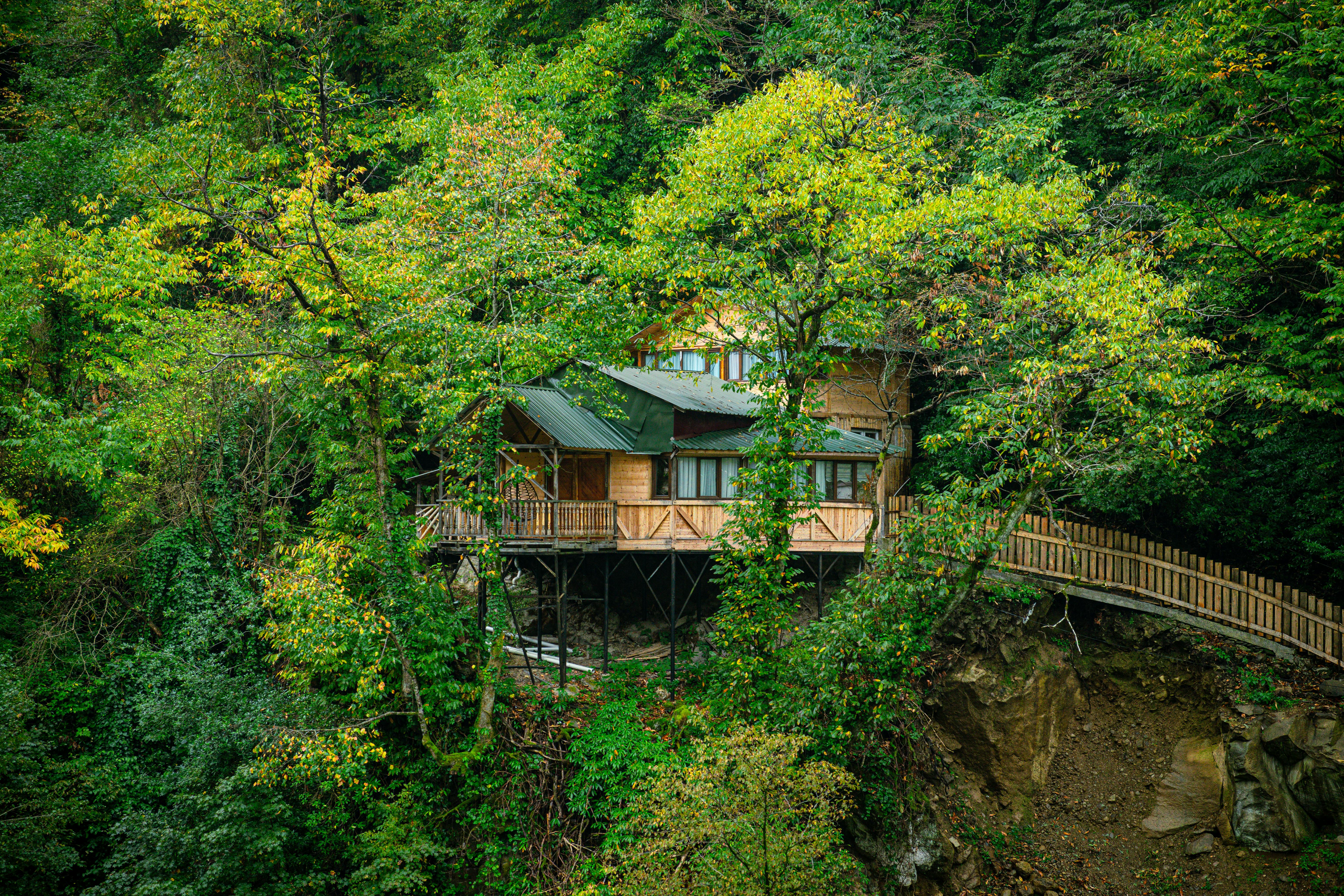 Remote Cabin Getaways: Your Ultimate Escape into Nature