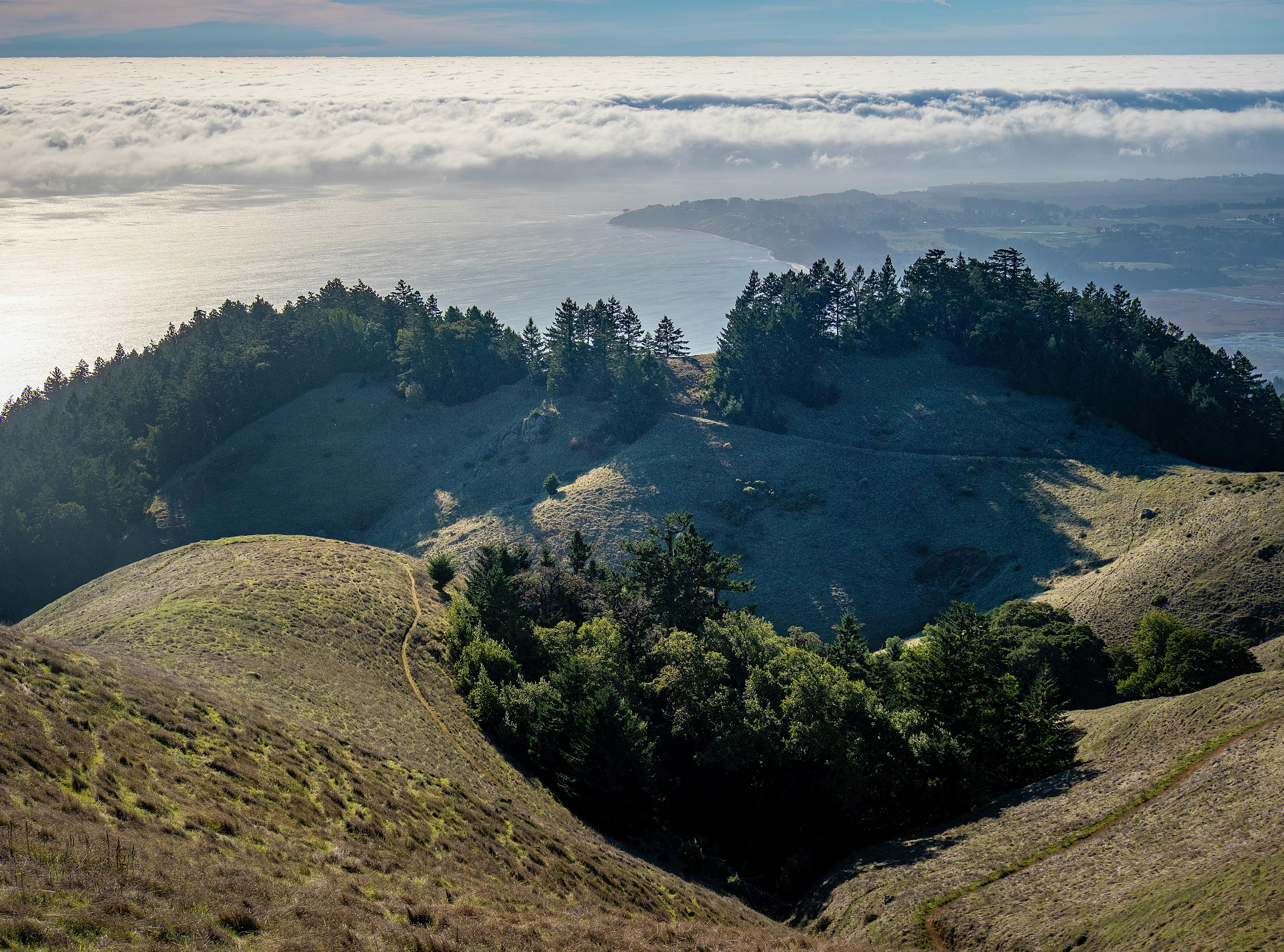 Urunday Sostenible: Propagación, Manejo y Conservación