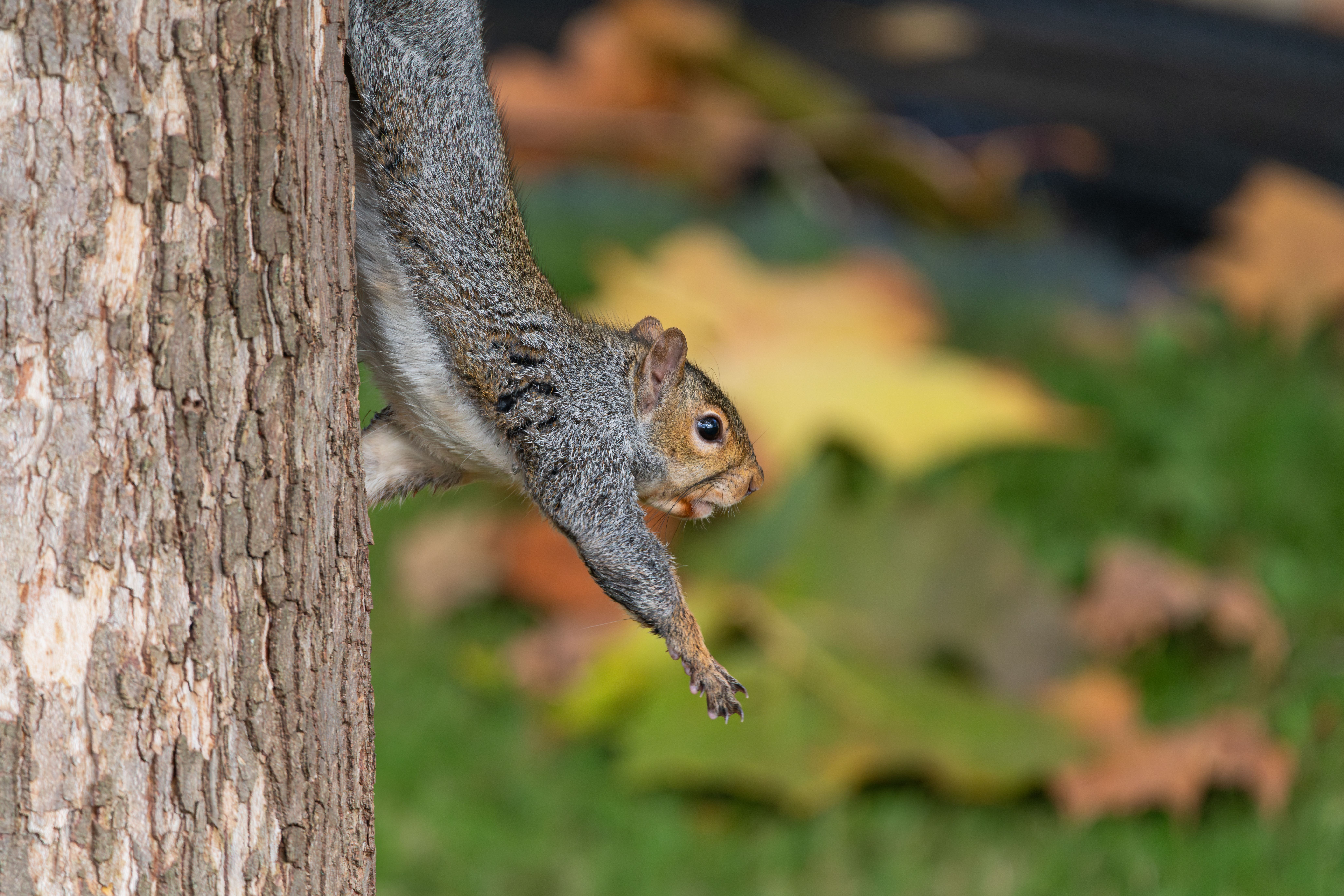 A Leap Of Faith
