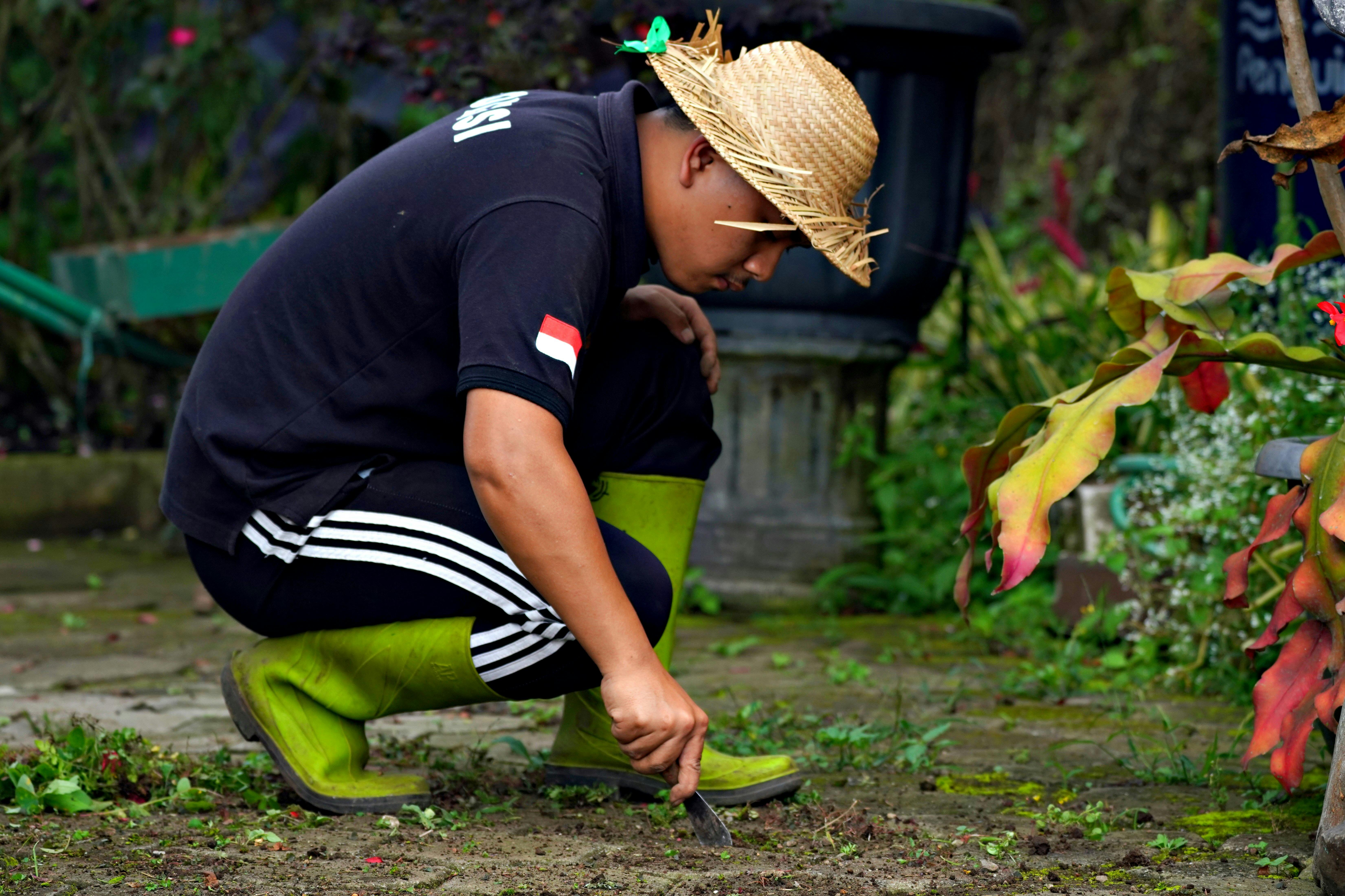 Mitigación del Estrés Eólico en Agricultura: Barreras Vegetales y Artificiales