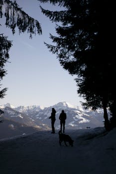 Silhouetted figures and a dog framed by trees in a winter mountain scene, capturing a serene outdoor adventure.
