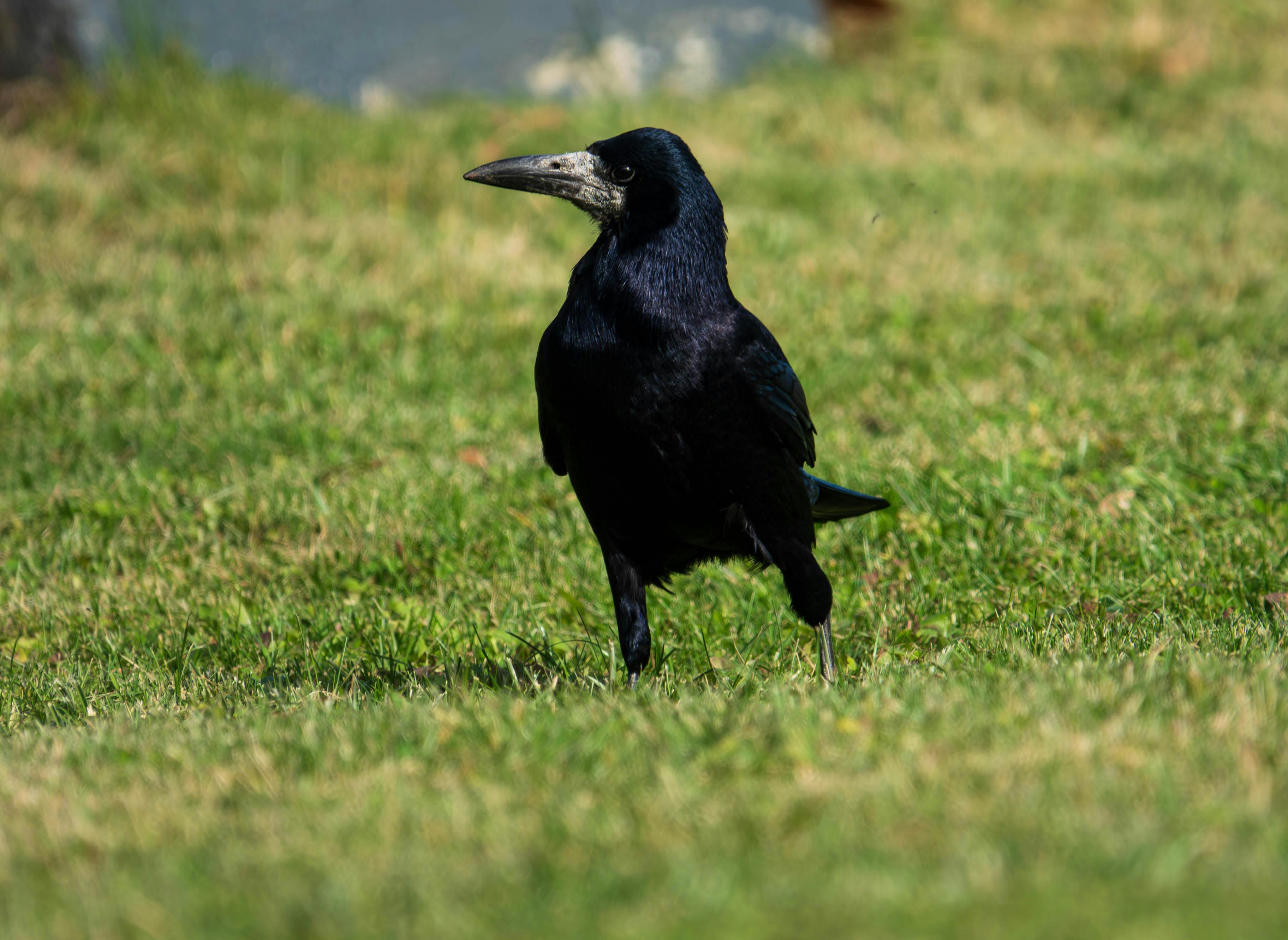 立委劉建國推動毒化災教育 落實114年全民綠生活宣導
