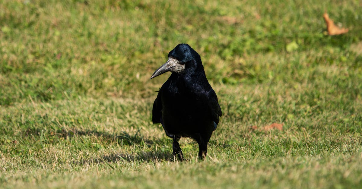 立委劉建國推動毒化災教育 落實114年全民綠生活宣導