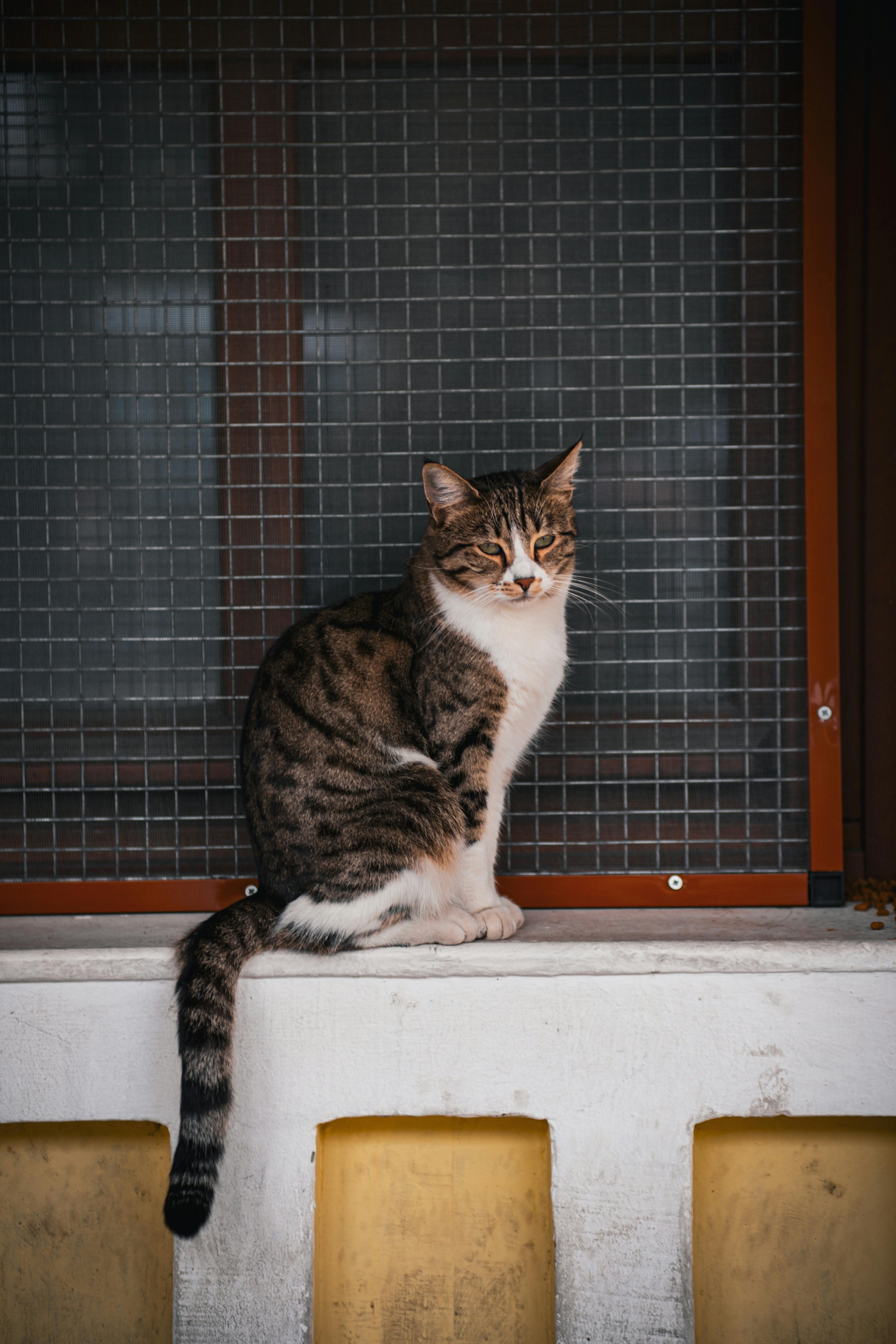 Backlinks Für Agenturen Verwalten: So Steigern Sie Ihren Erfolg 6 Backlink-Building: 7 Kreative Ansätze für Agenturen, die funktionieren