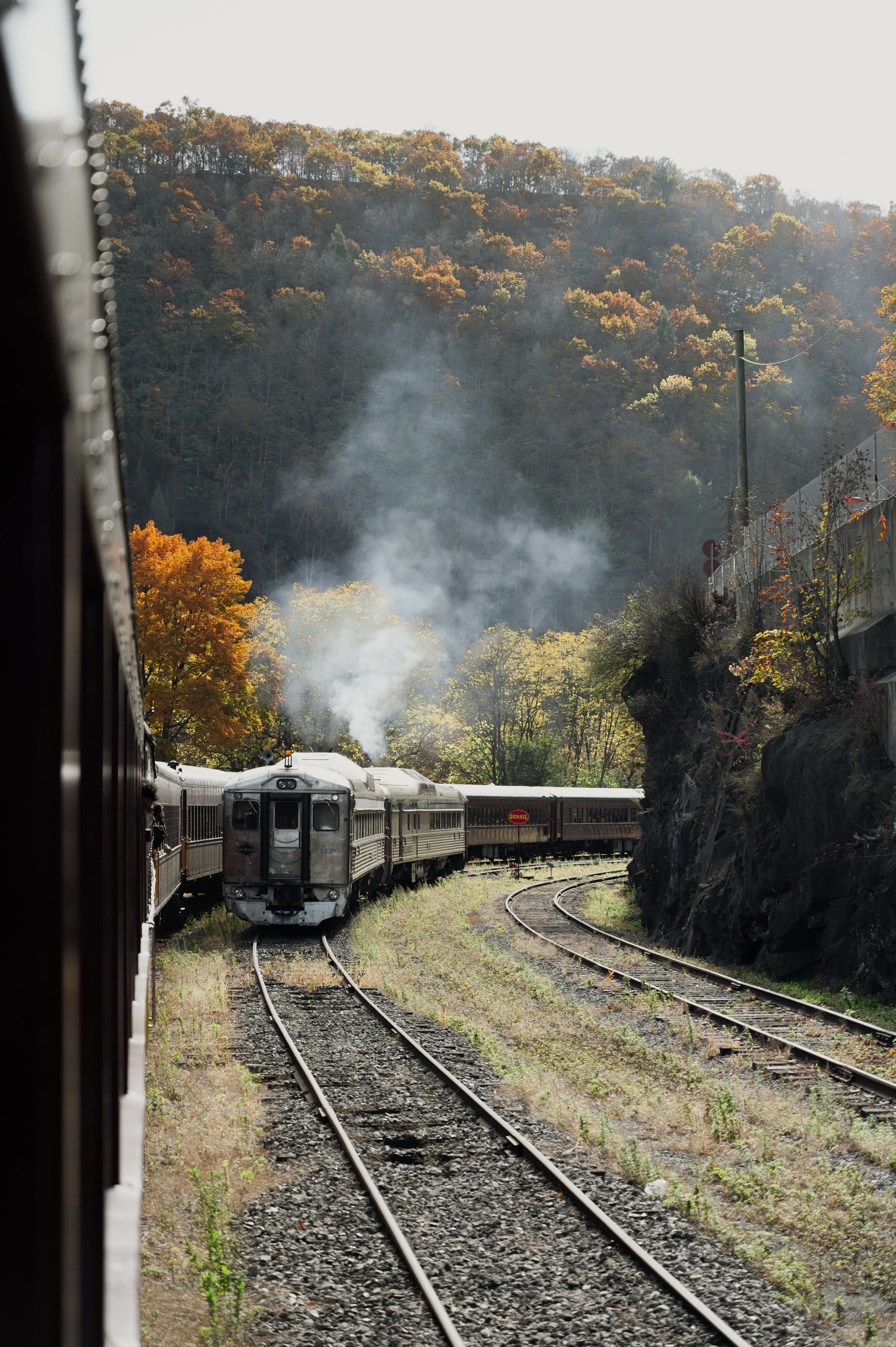 A vintage train travels through autumn foliage and forested hills, emitting steam.