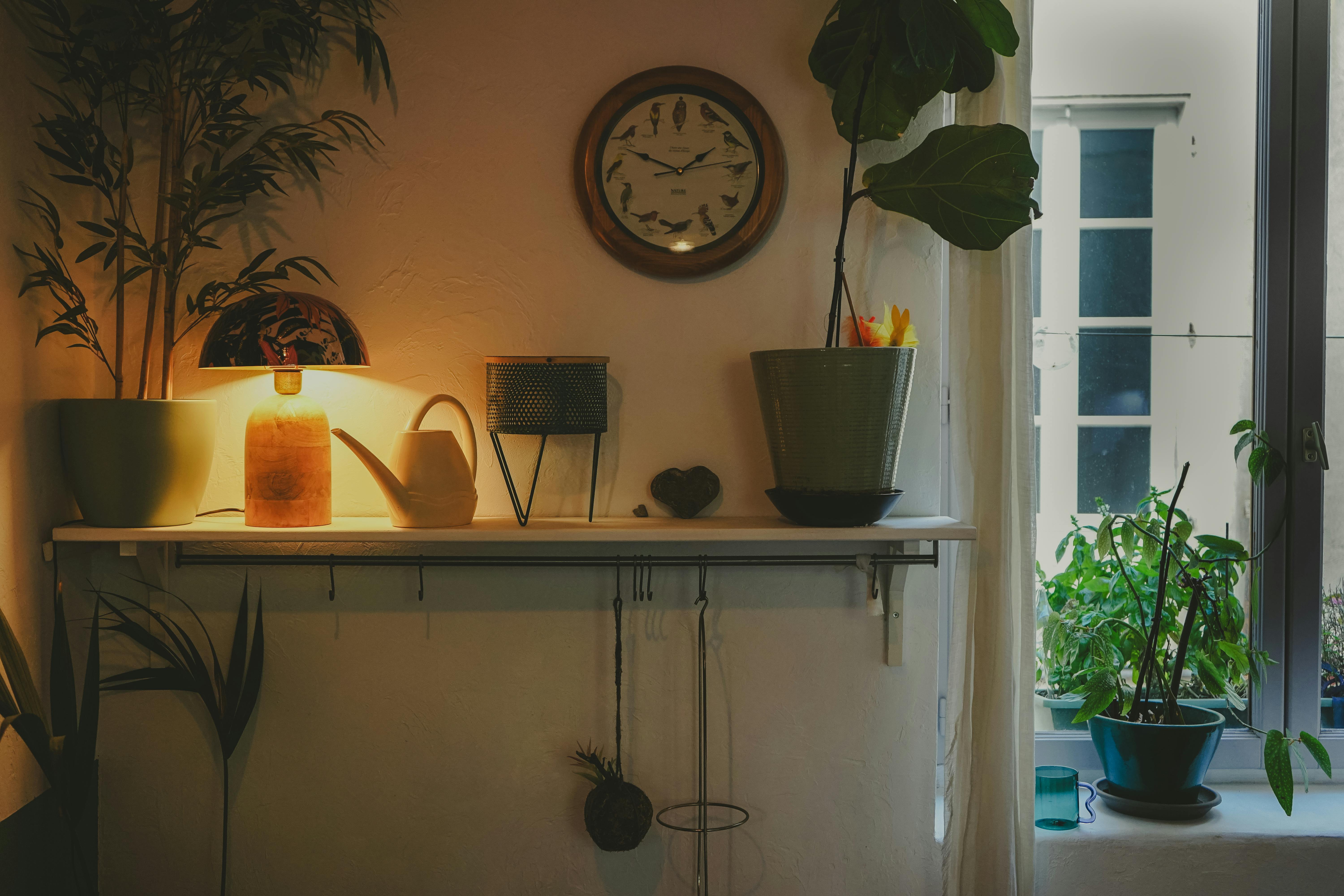 Warm, inviting interior shelf arrangement with plants, lamp, and decor in Nîmes, France.