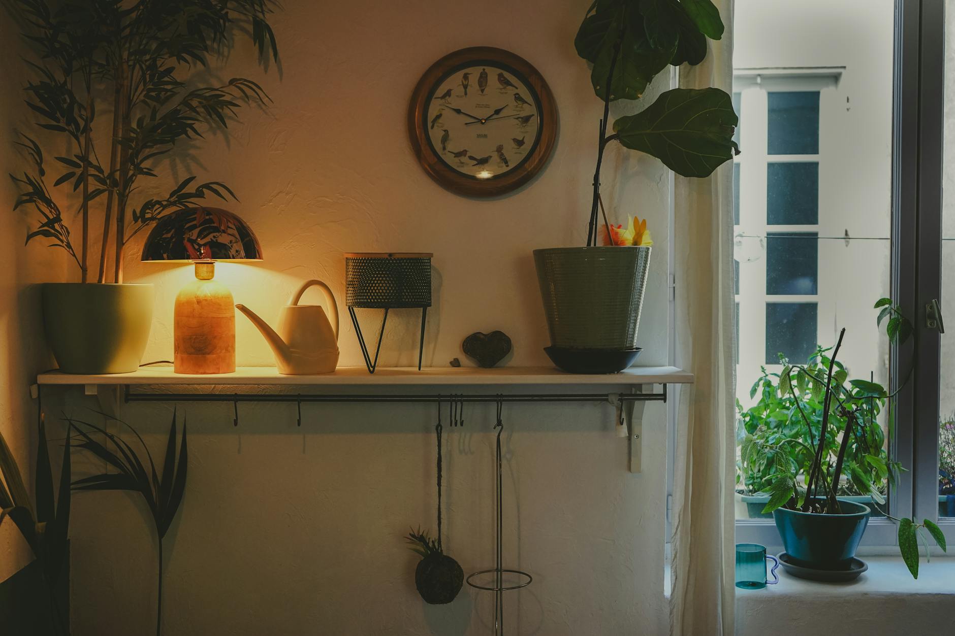 Warm, inviting interior shelf arrangement with plants, lamp, and decor in Nîmes, France.