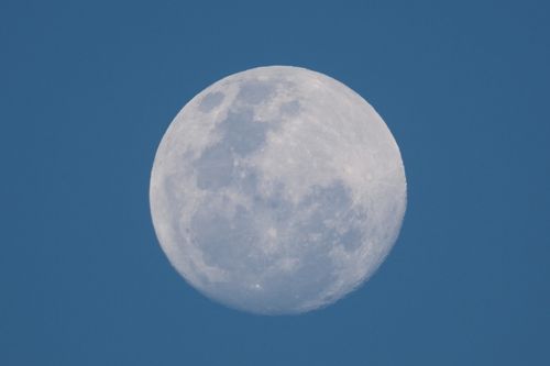 Free A detailed view of a full moon set against a clear blue sky during the day. Stock Photo