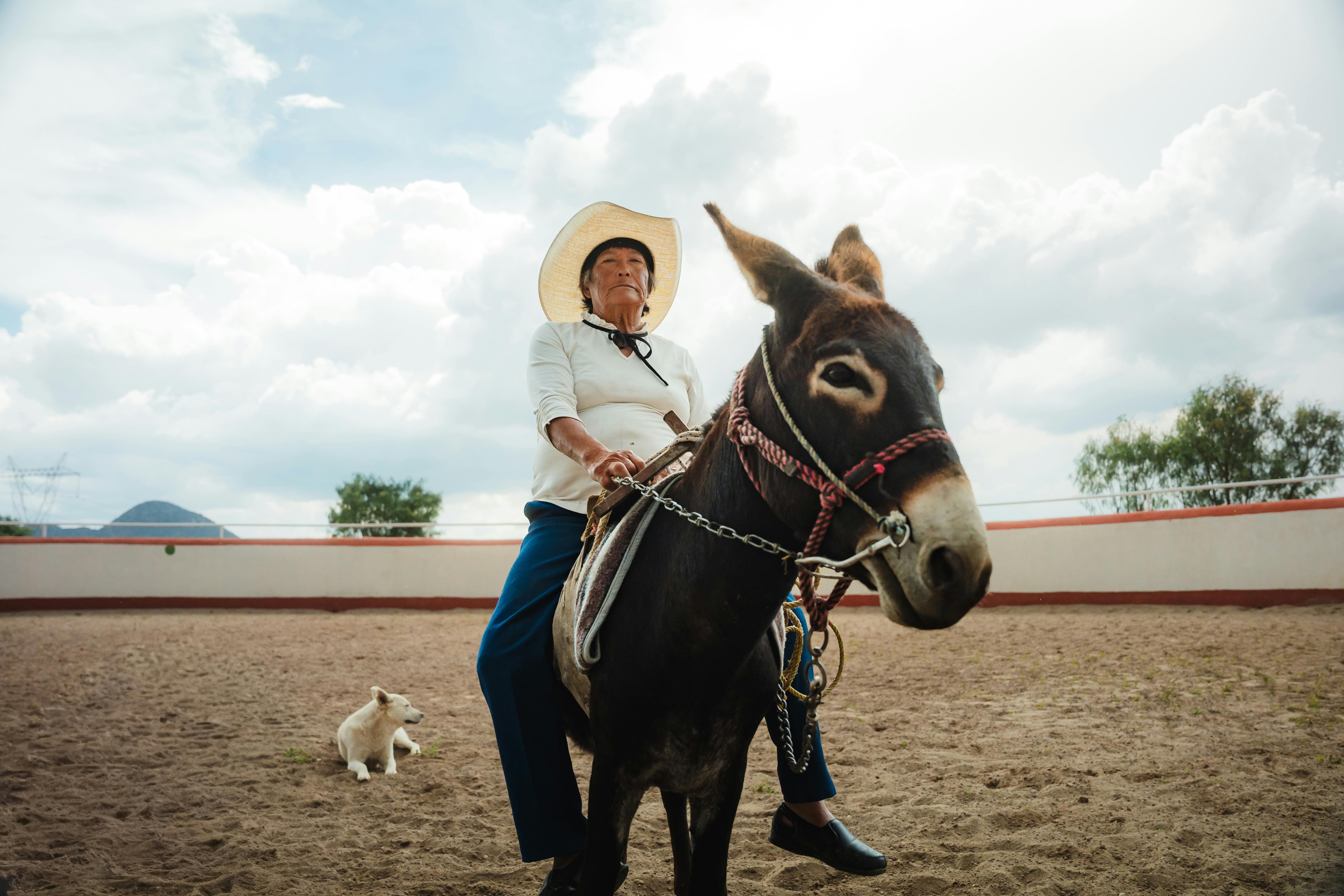 Behind the Myths: The Real Stories of the Bonnie Blue 1000 Men and Their Legacy