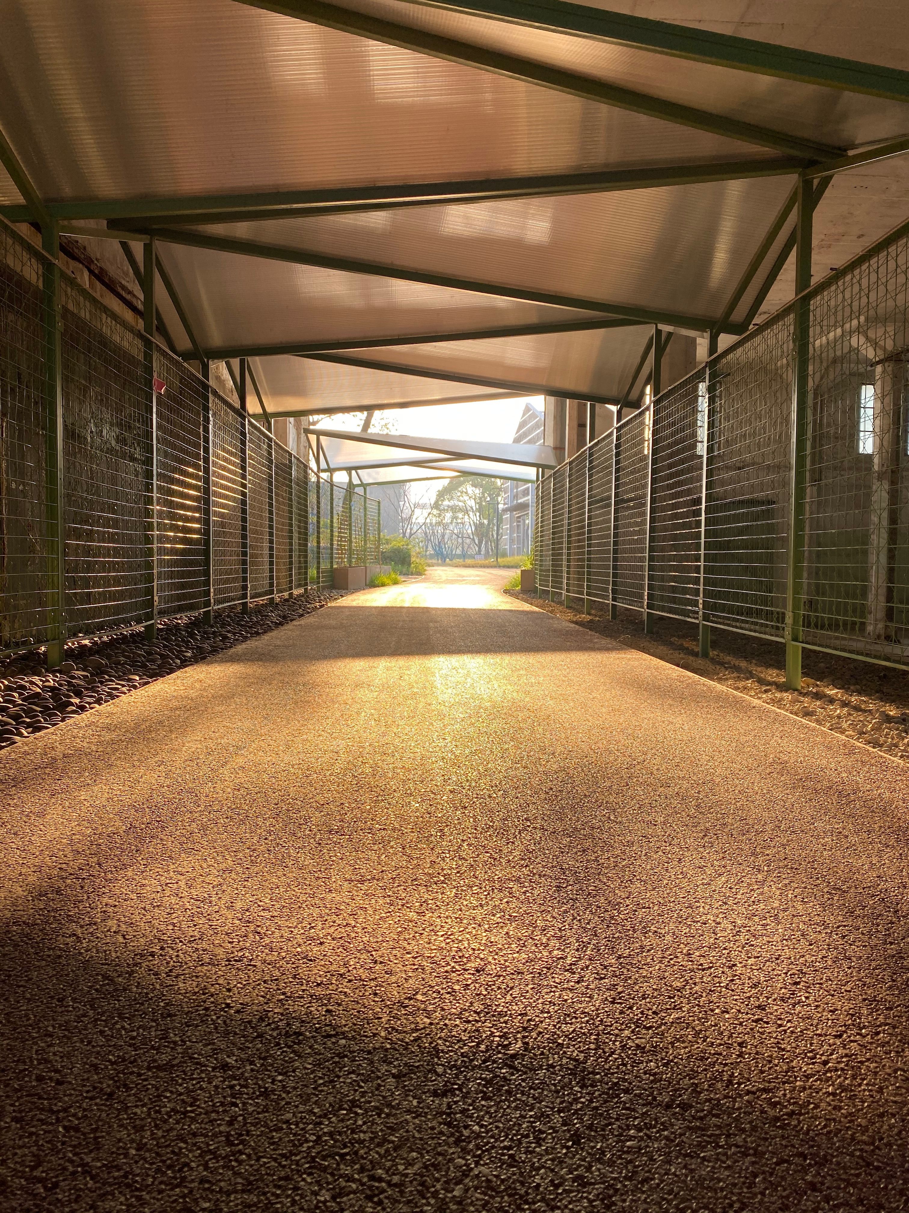 Sunlit Covered Pathway with Metal Fencing · Free Stock Photo