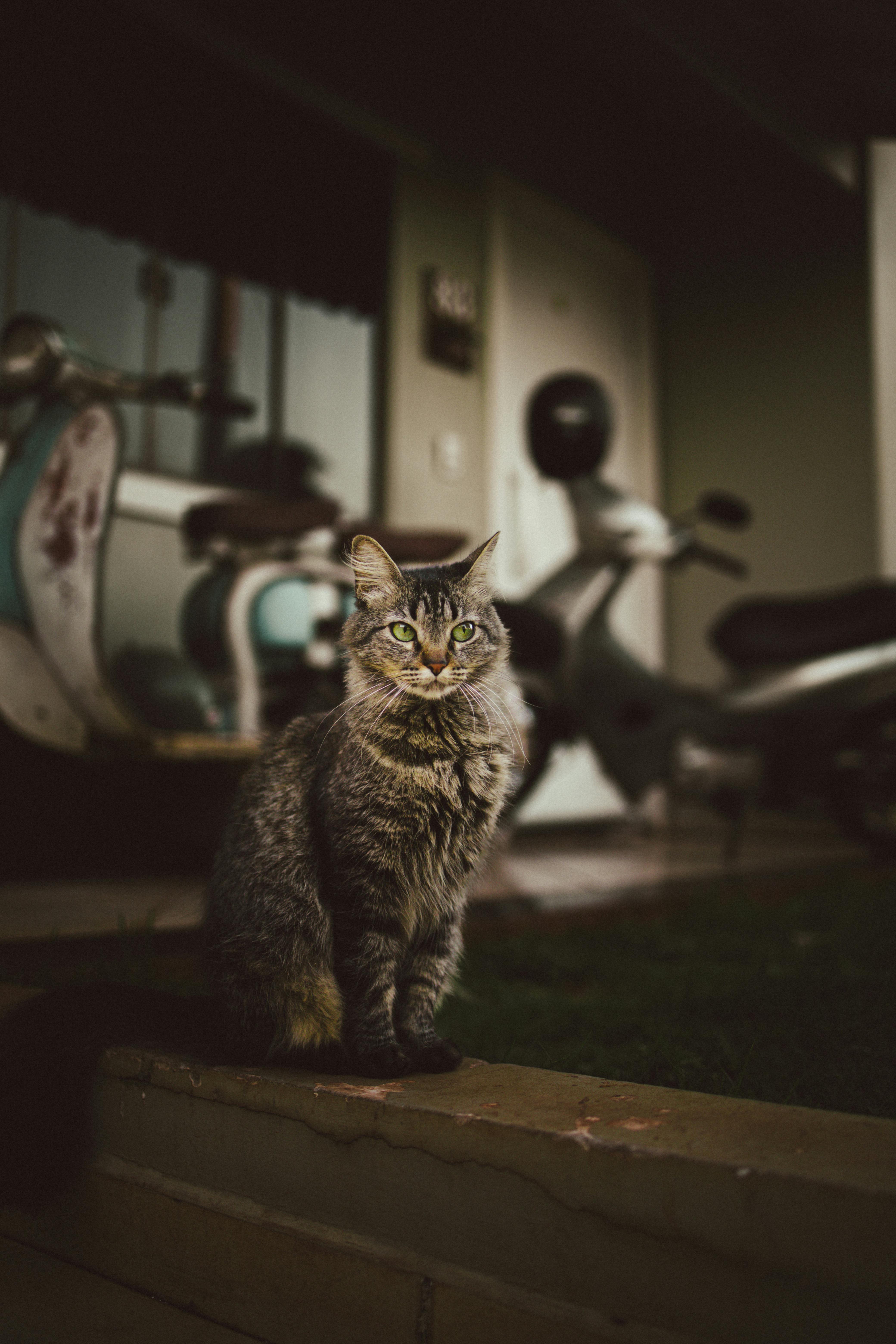 Instagram+María+Conchita+Alonso+Nude Photos, Download The BEST Free Instagram+María+Conchita