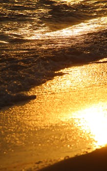 Warm golden sunset reflecting on gentle ocean waves at the beach, creating a serene and soothing atmosphere.