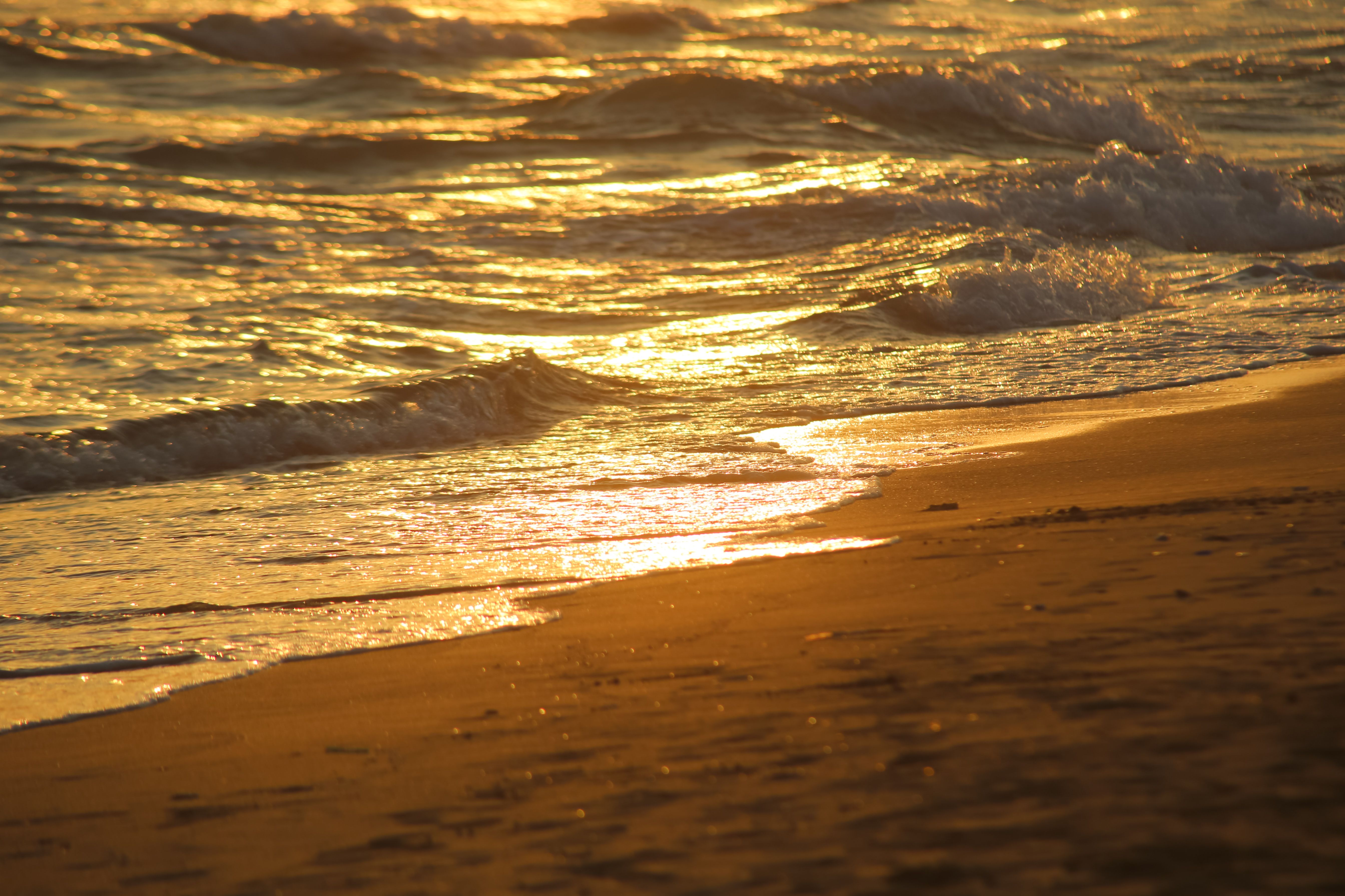 Golden Sunset Over Ocean Waves on Sandy Beach · Free Stock Photo