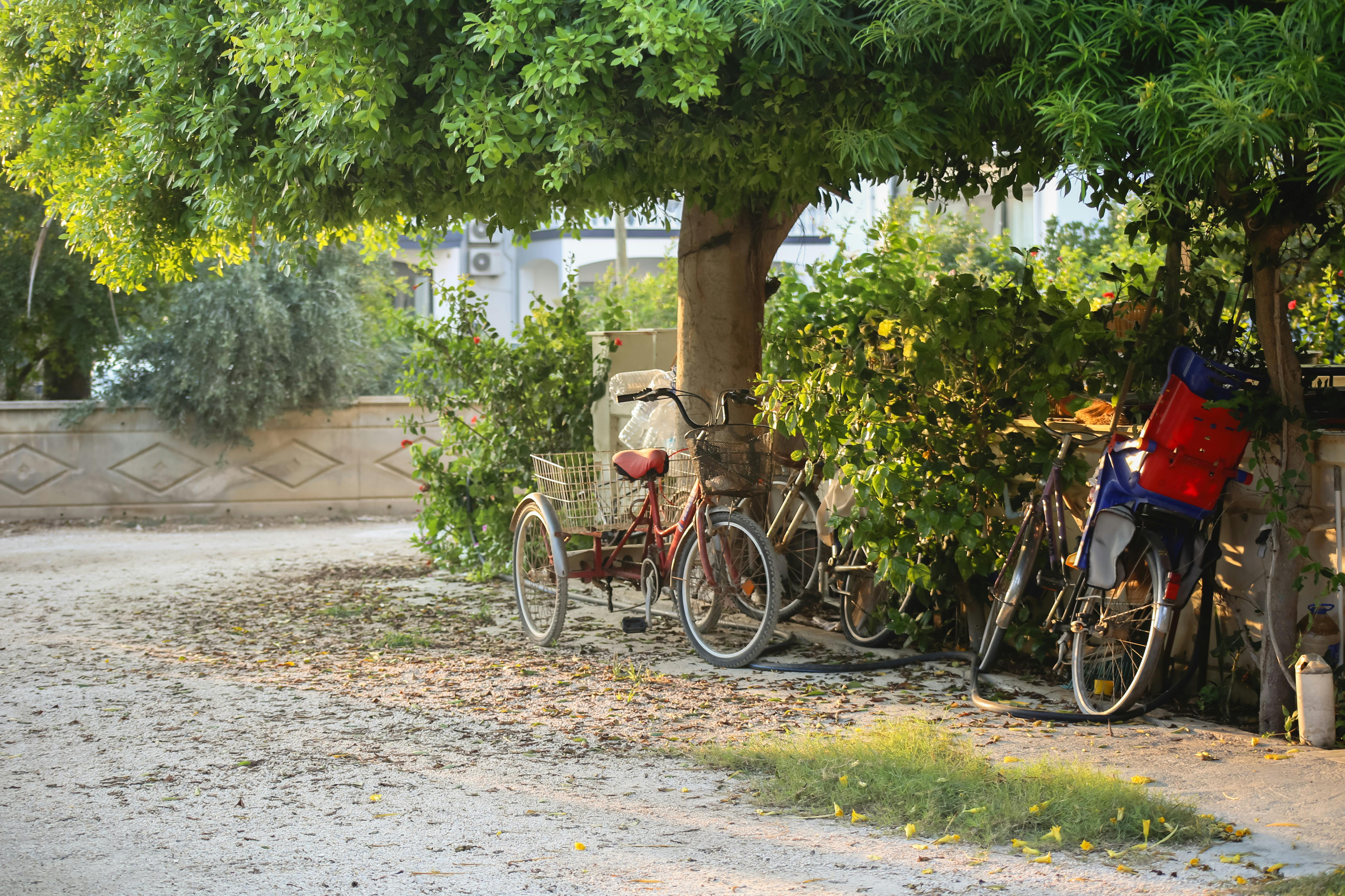 雲科大推動全民綠生活與毒化災防制教育，打造永續綠色未來