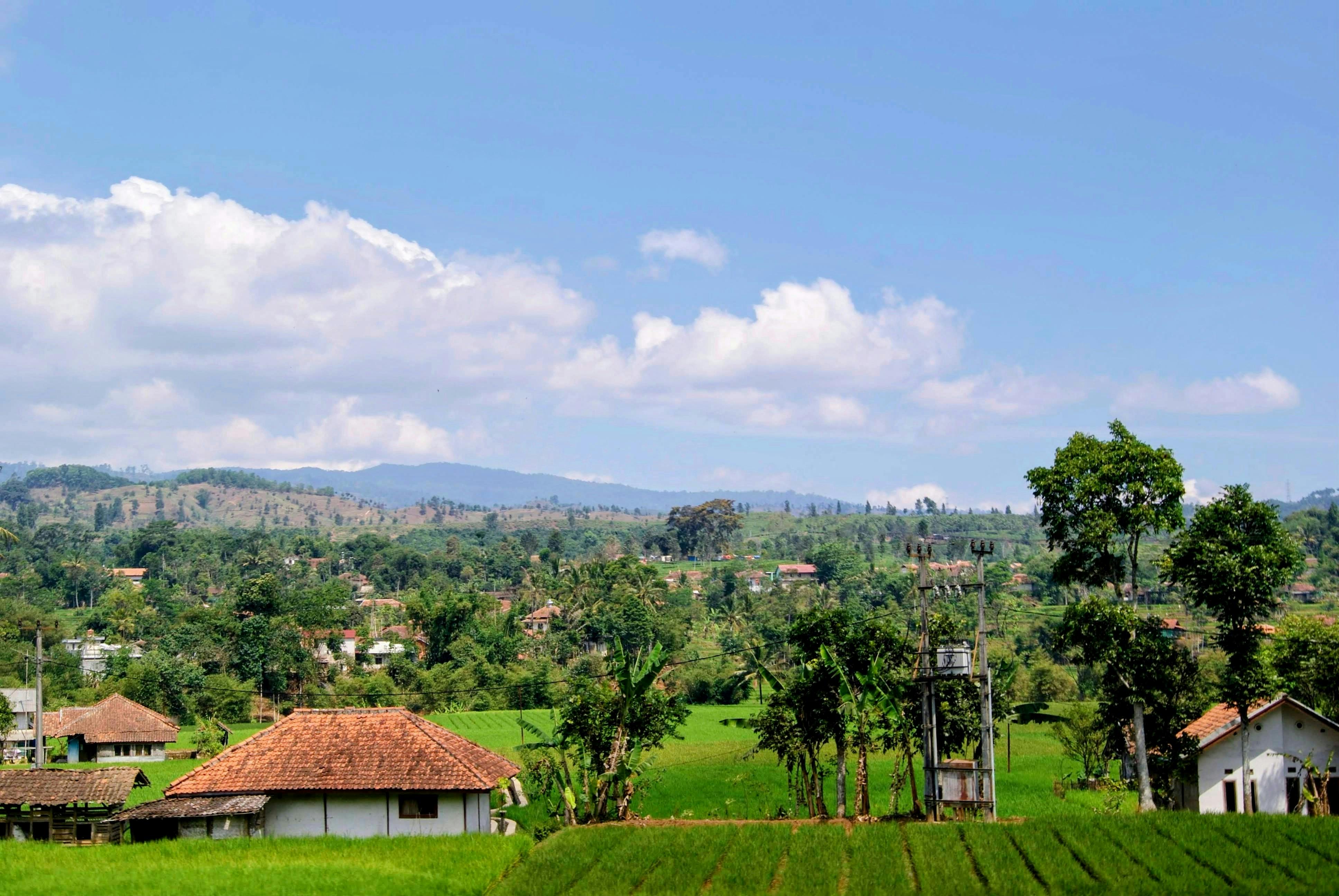 竹北「好米好生活」創意行銷推動國產米新風潮