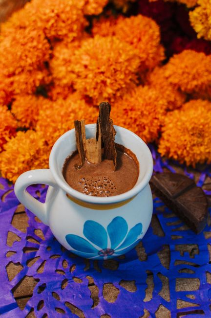 A mug of frothy Mexican hot chocolate topped with a dusting of cinnamon and a cinnamon stick, with a molinillo whisk resting beside it.