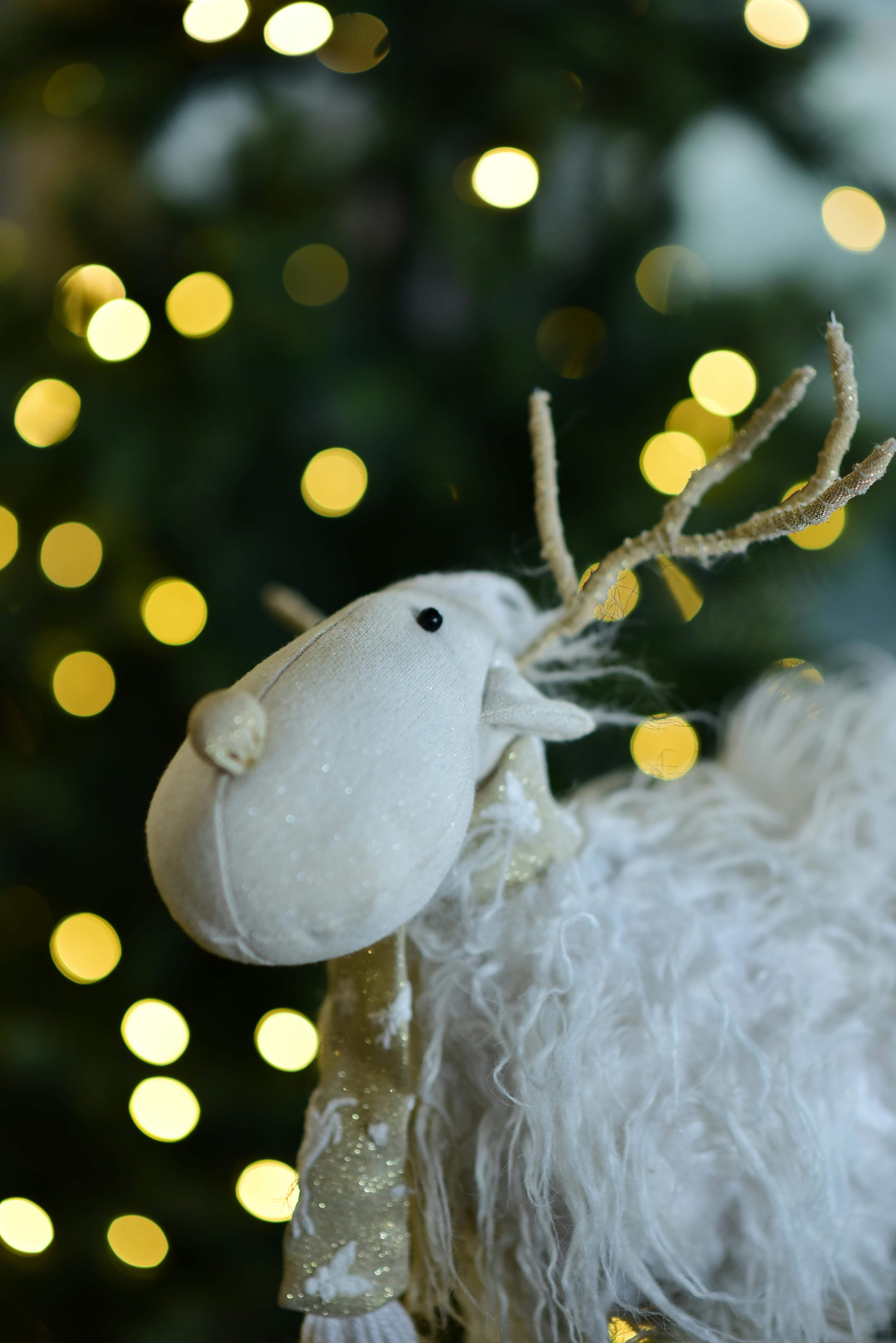 grátis Decoração de rena de pelúcia macia em frente a luzes natalinas cintilantes com efeito bokeh. Foto profissional
