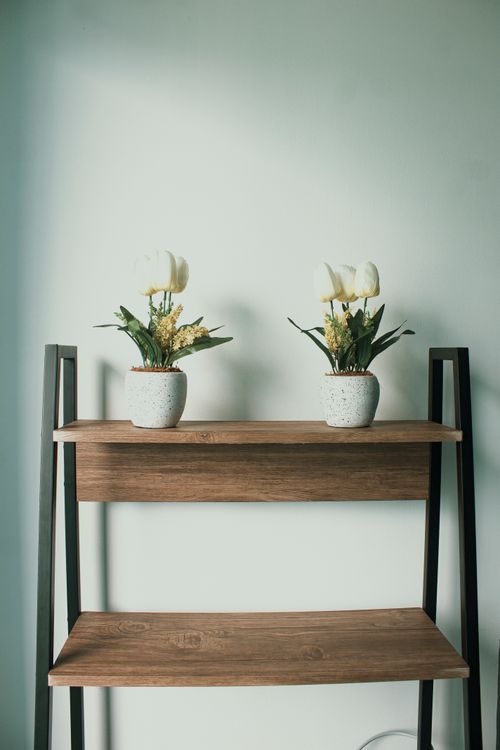 Free Elegant wooden shelves with ceramic pots containing white flowers in a minimalist setting. Stock Photo