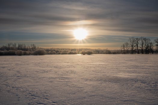 Captivating sunrise over a snow-covered field with trees in Estonia, showcasing winter's serene beauty.