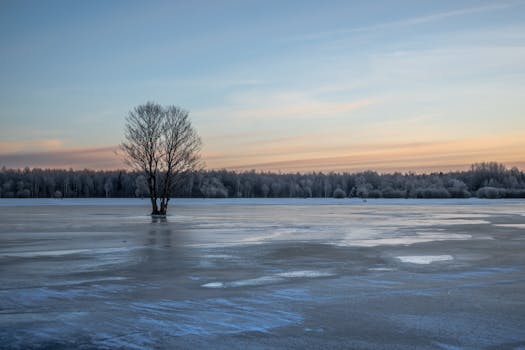 Explore the tranquil beauty of a lone tree on a frozen lake during sunset in Estonia.