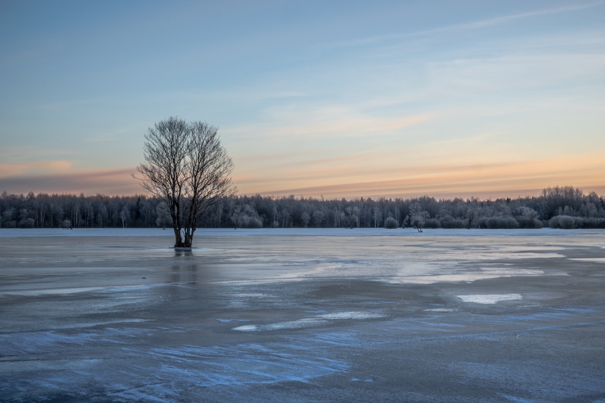 Calm counselling room with soft natural light and plants
