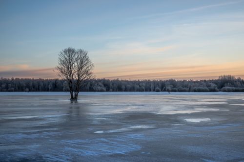 Free Explore the tranquil beauty of a lone tree on a frozen lake during sunset in Estonia. Stock Photo