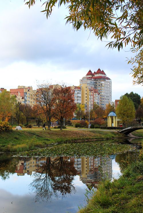 Free A serene urban park during fall with high-rise buildings reflected in a calm pond. Stock Photo