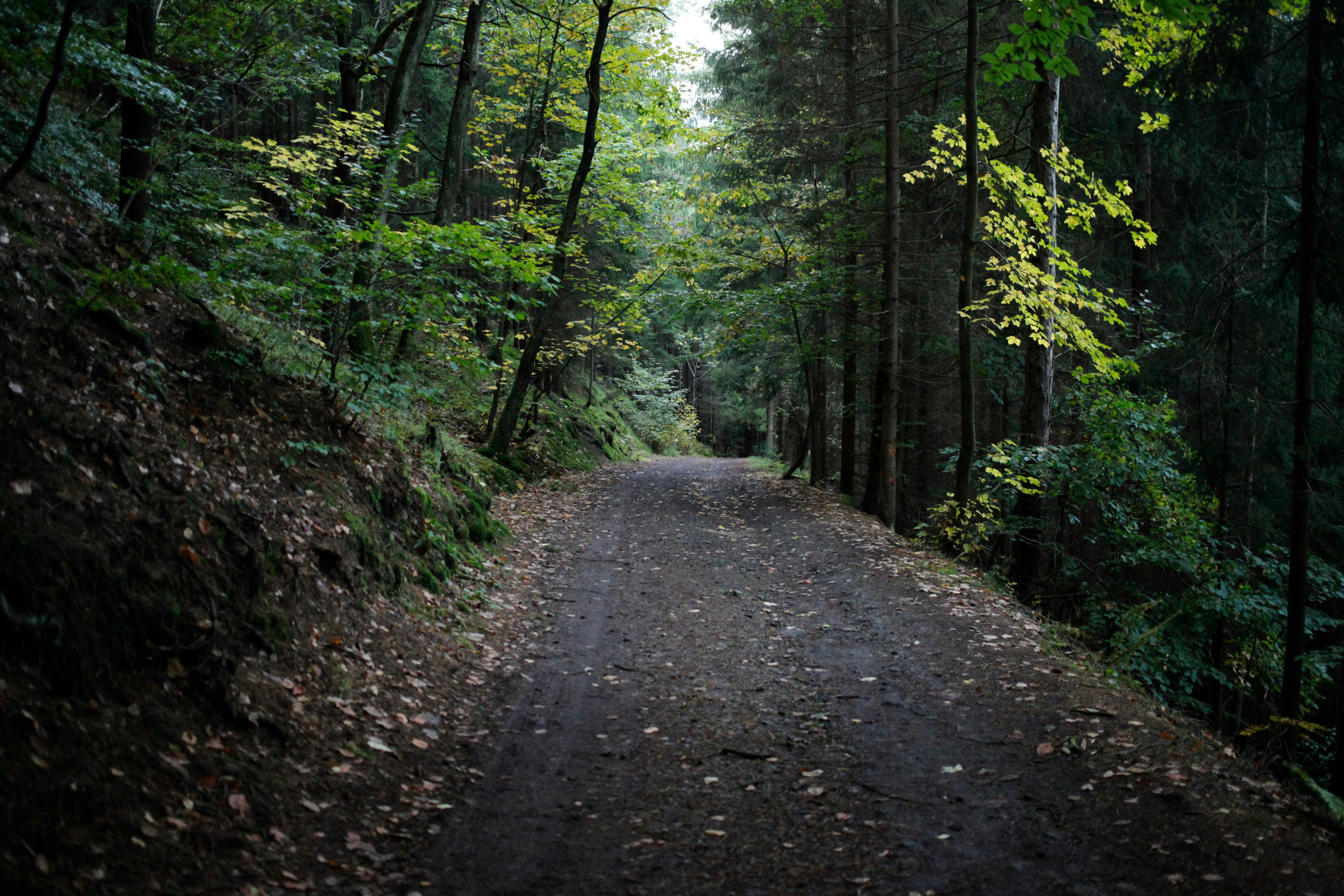 The FIRE road map: Early retirees explain their 2-part investment strategy to hit financial independence — Photo by Eran Mena