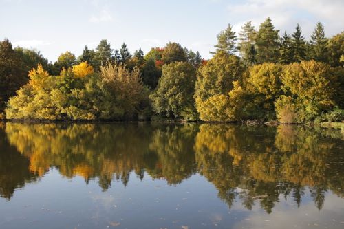 Free Tranquil autumn landscape with vibrant foliage reflecting in a calm lake in Czechia. Stock Photo