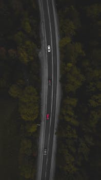 Aerial shot of a winding road through autumn trees in Bursa, Türkiye, with cars driving through.