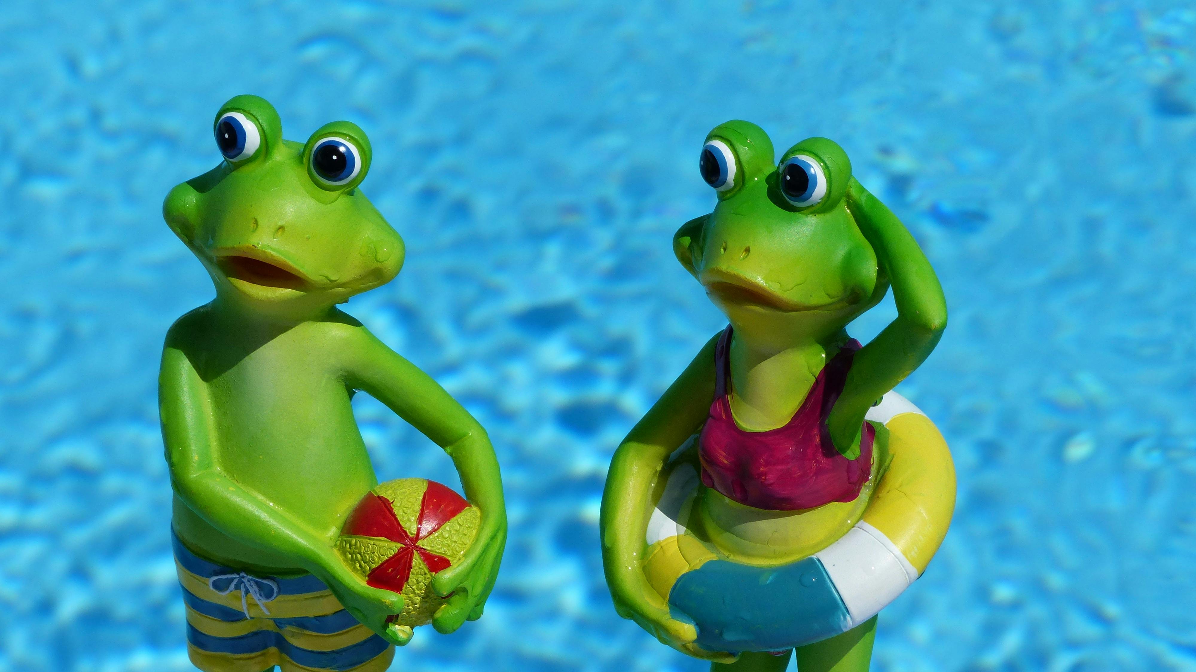 Kostenloses Foto Zum Thema Dekorationsartikel Frosch Sommer