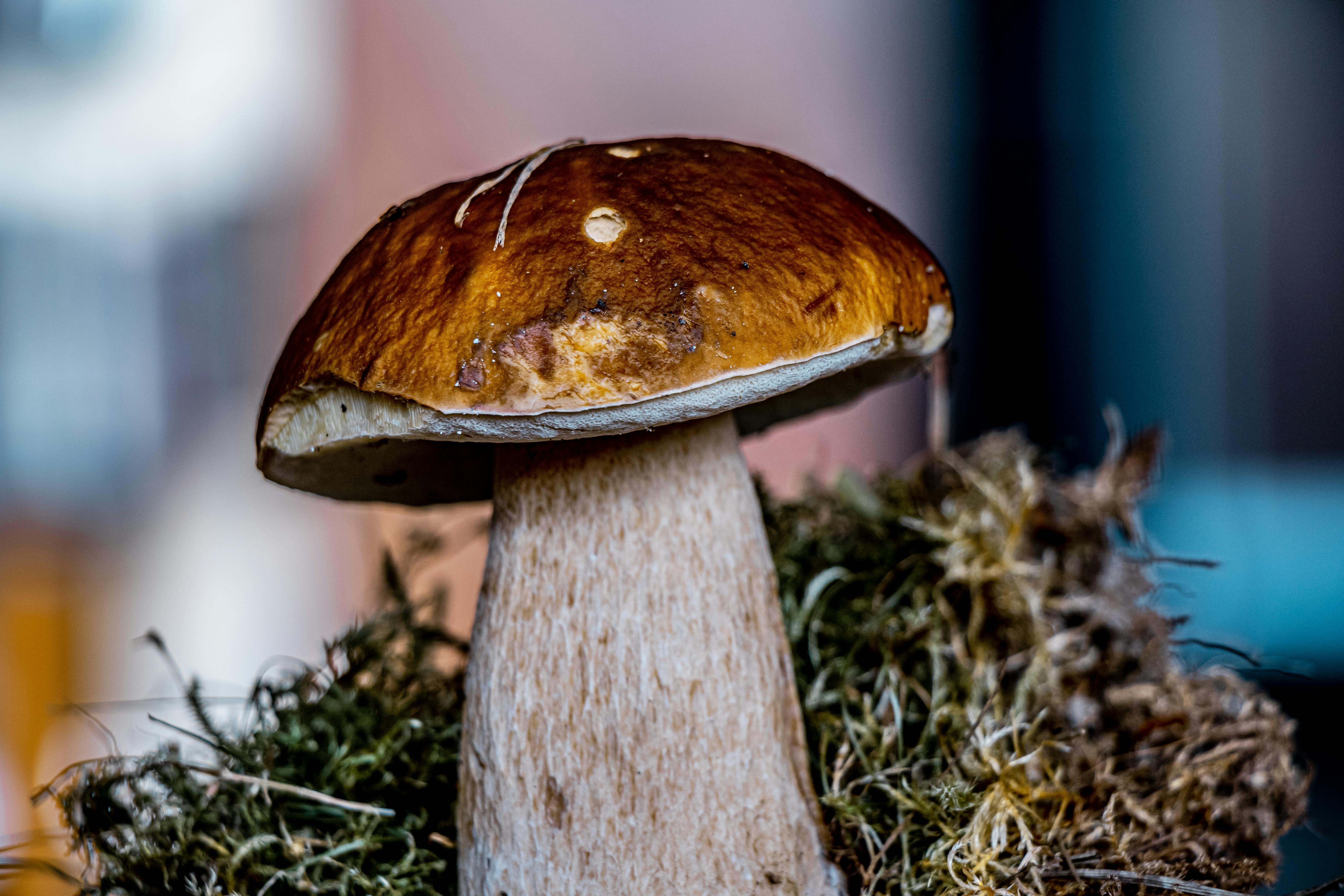 Secret Nutrition Hacks for Peak Performance