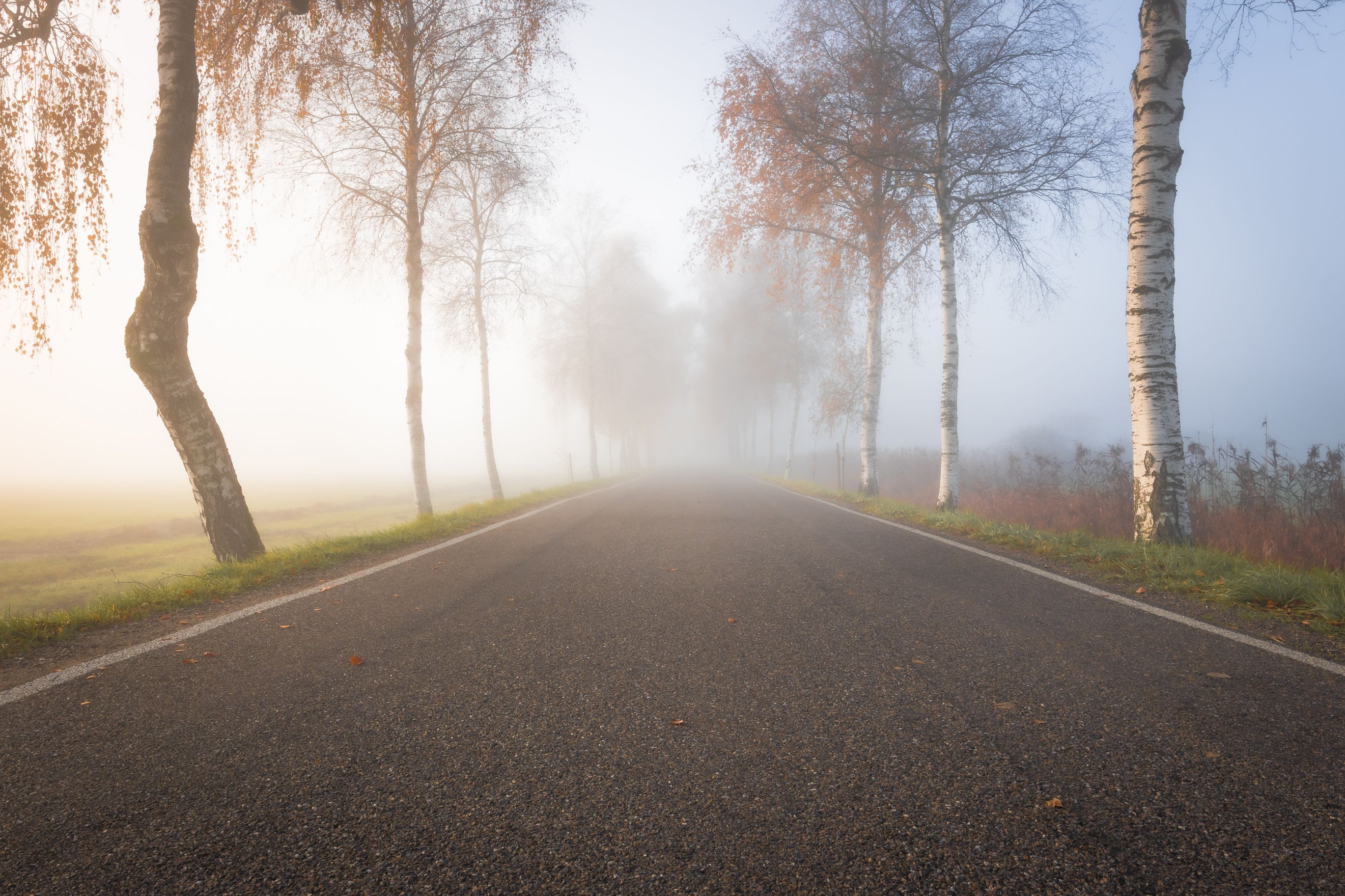 Empty Vitosha Boulevard in a foggy November morning