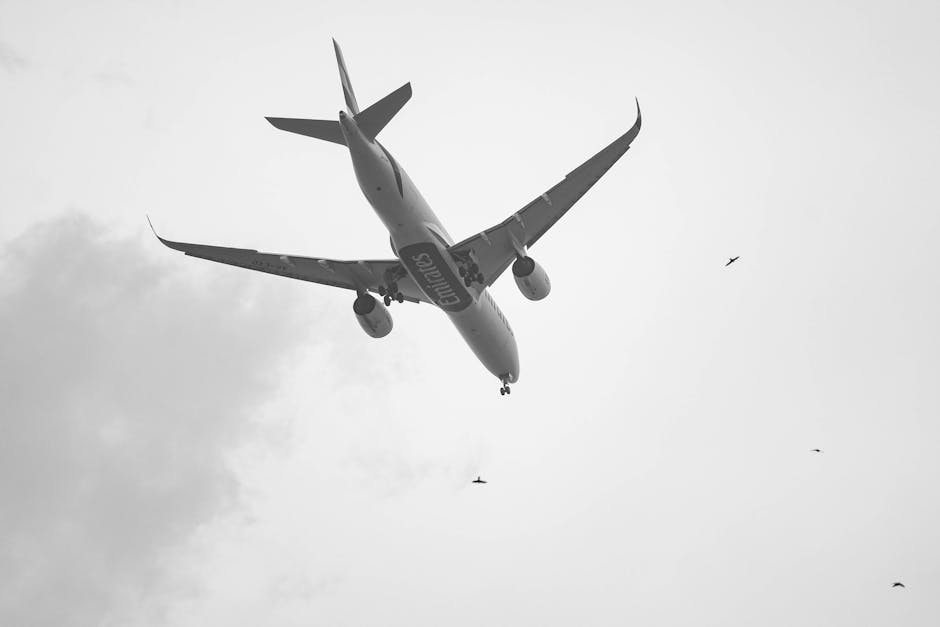 加密、AI與機器人:Virtuals打造科技三位一體新格局