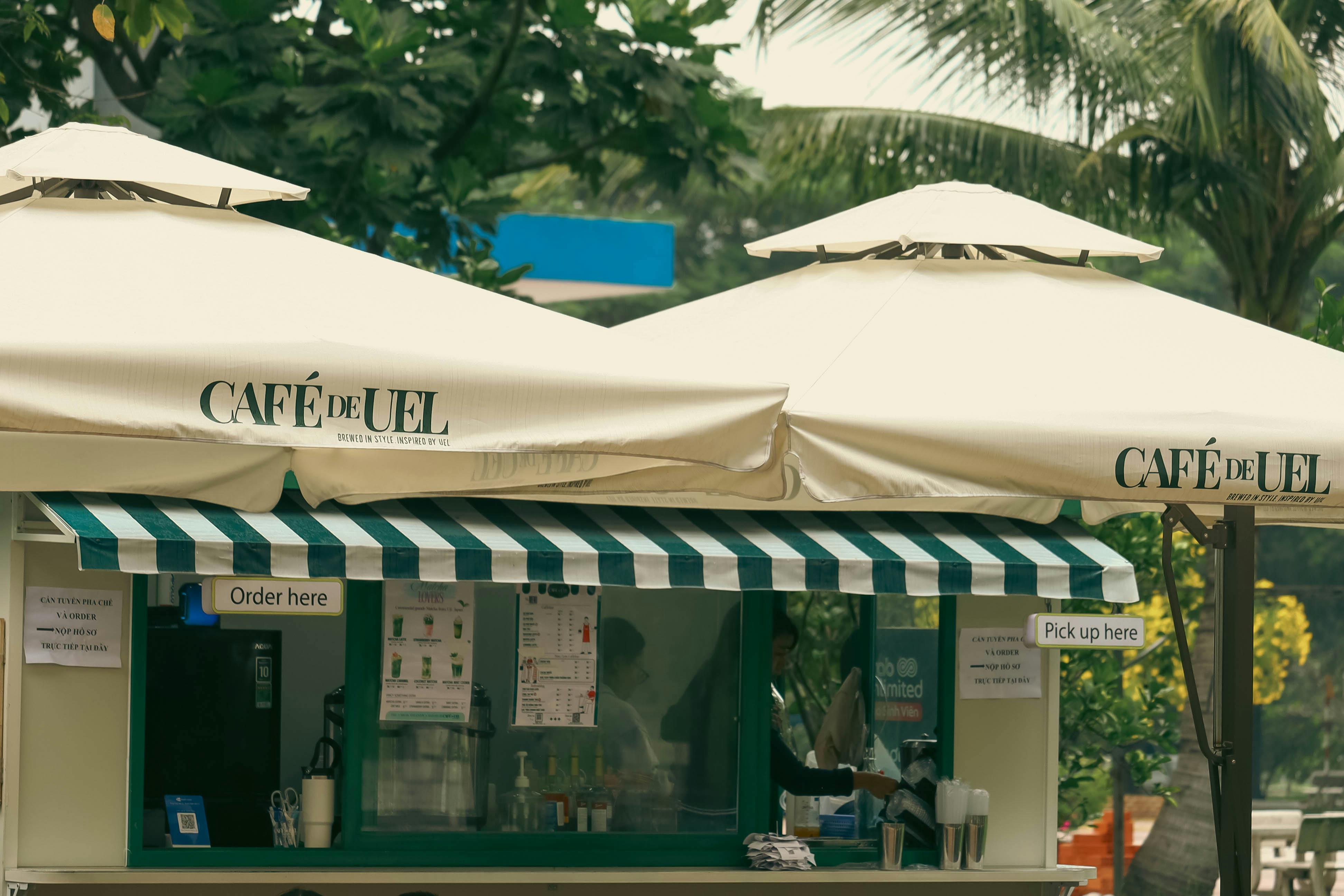 生活：2025台灣咖啡節盛大開幕 打造無邊界沉浸式咖啡體驗