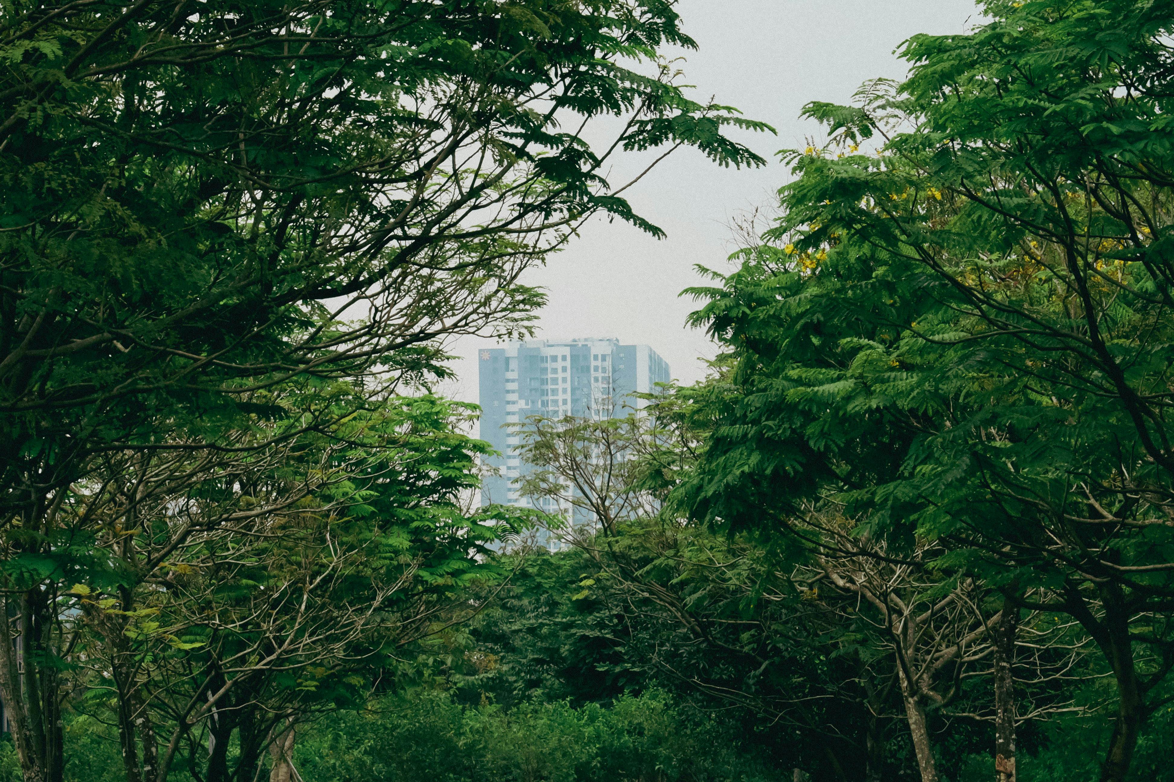 卡迪夫政治動盪威脅200英里長塔項目未來