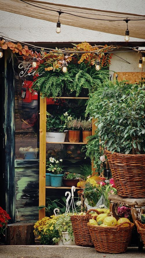 Free Discover a quaint flower shop in Bucharest with vibrant foliage and cozy decor capturing urban charm. Stock Photo